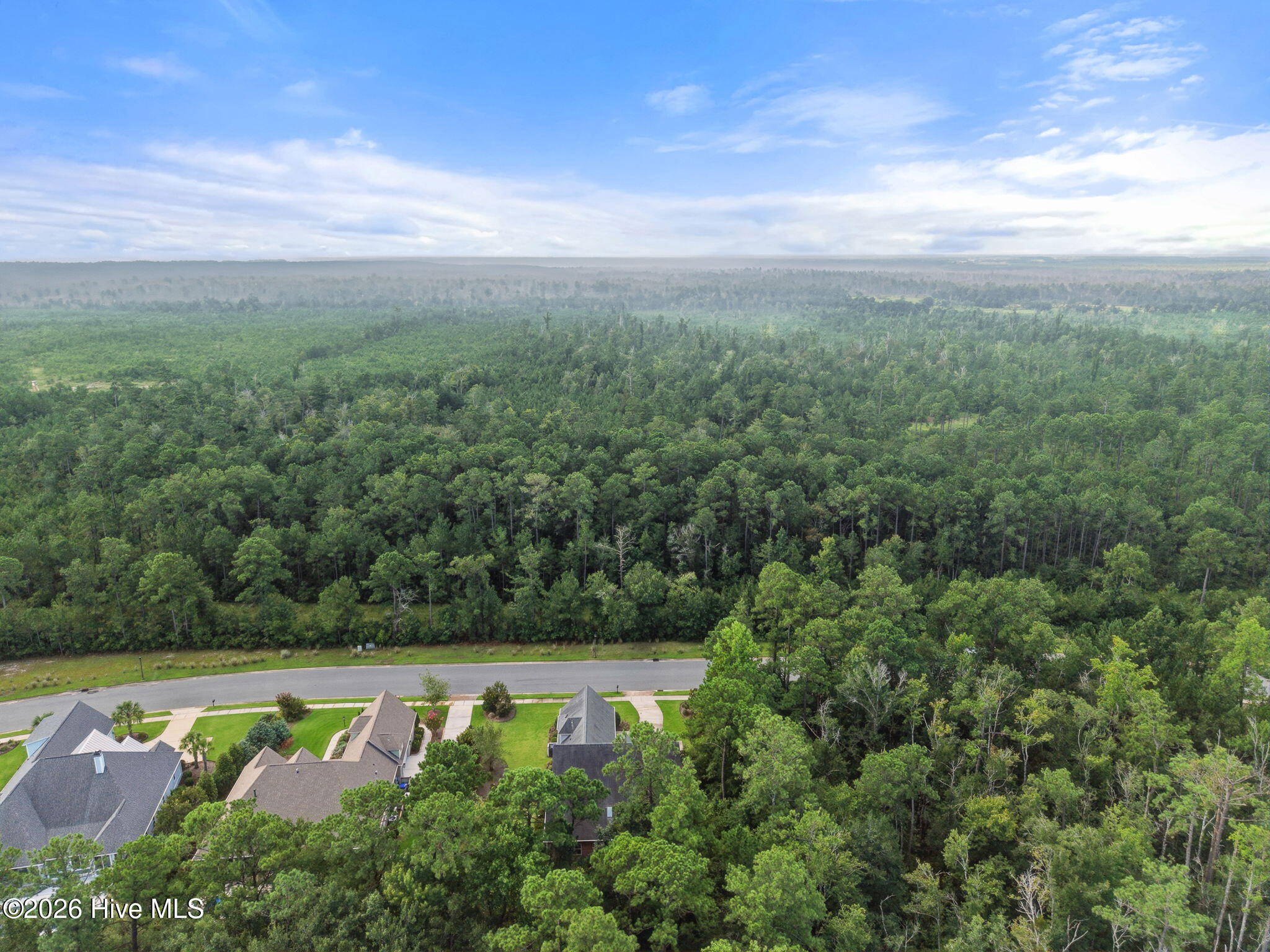 1336 Cape Fear National Drive Property Photo 67