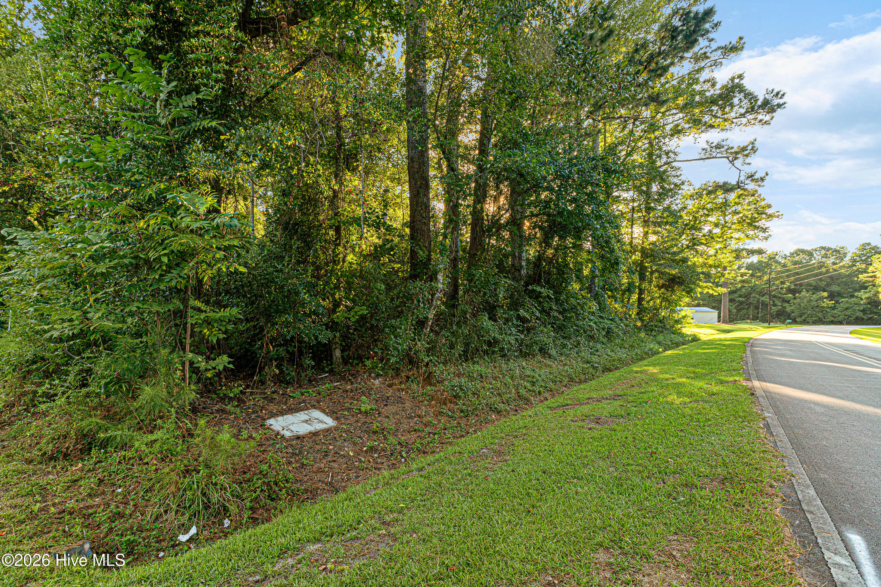 869 Tuttles Grove Property Photo 4
