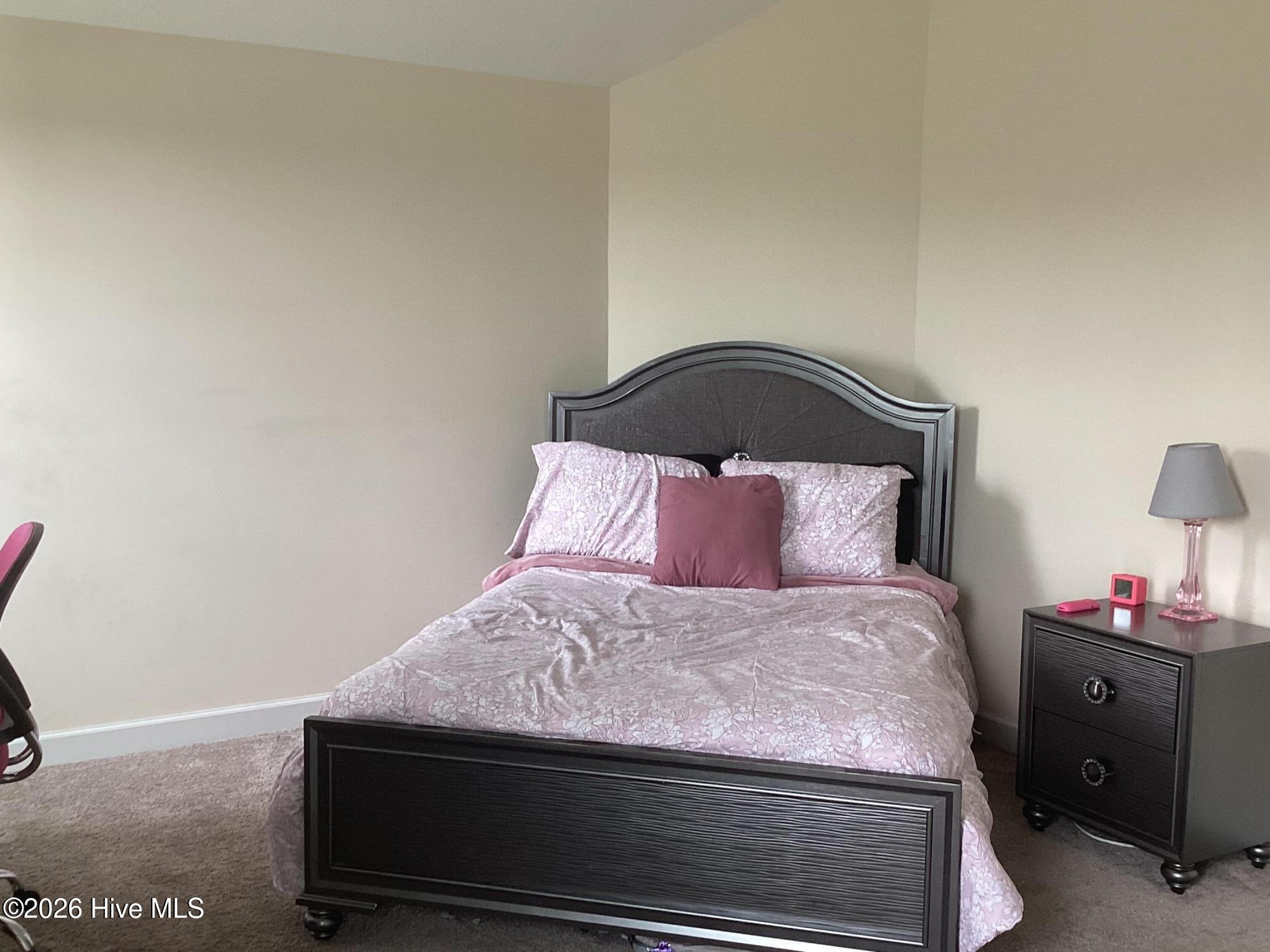 2334 Bundoran Drive Property Photo 23