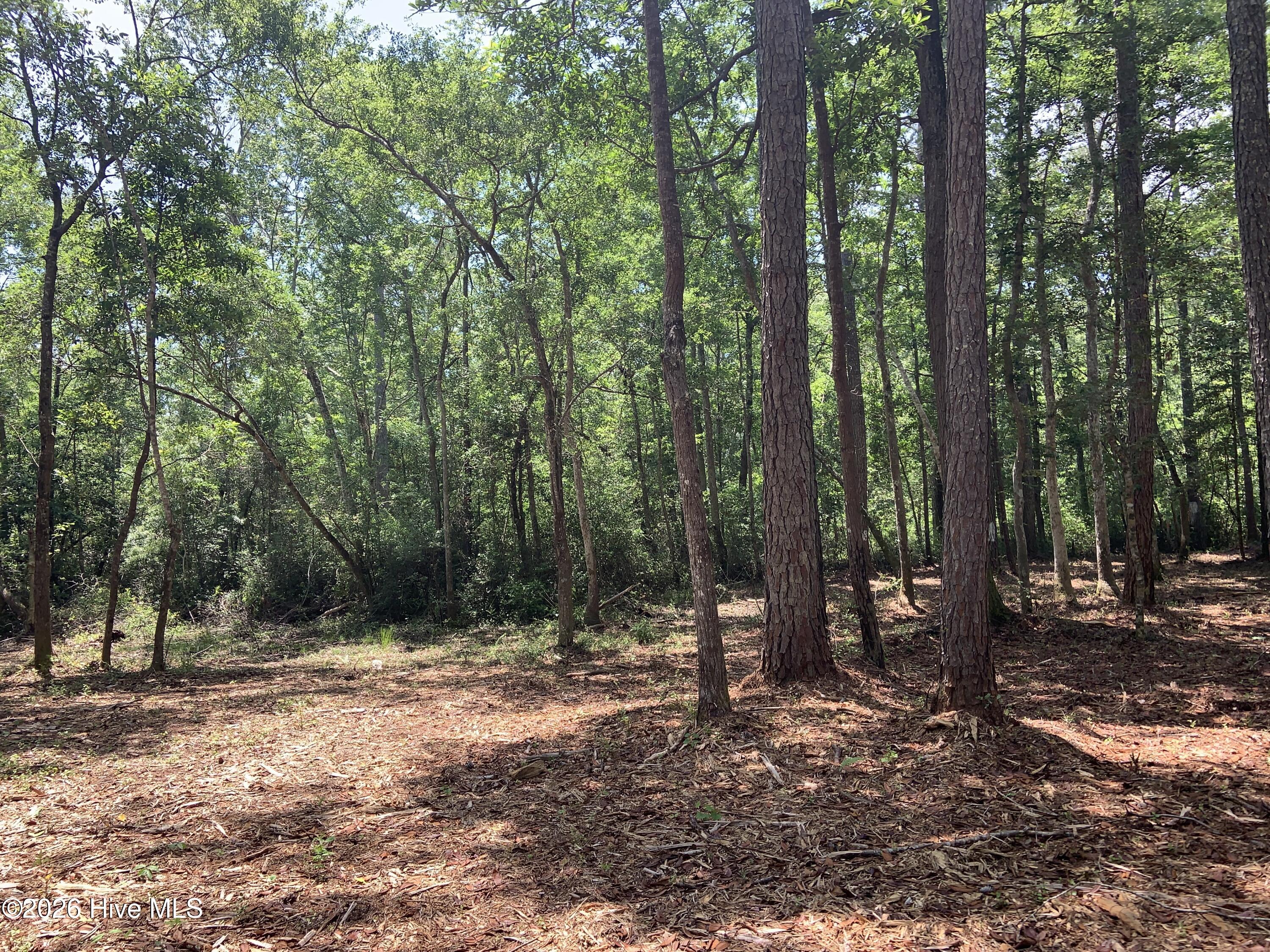 Na 4 Dandy Acres Lane (easement) Property Photo 2