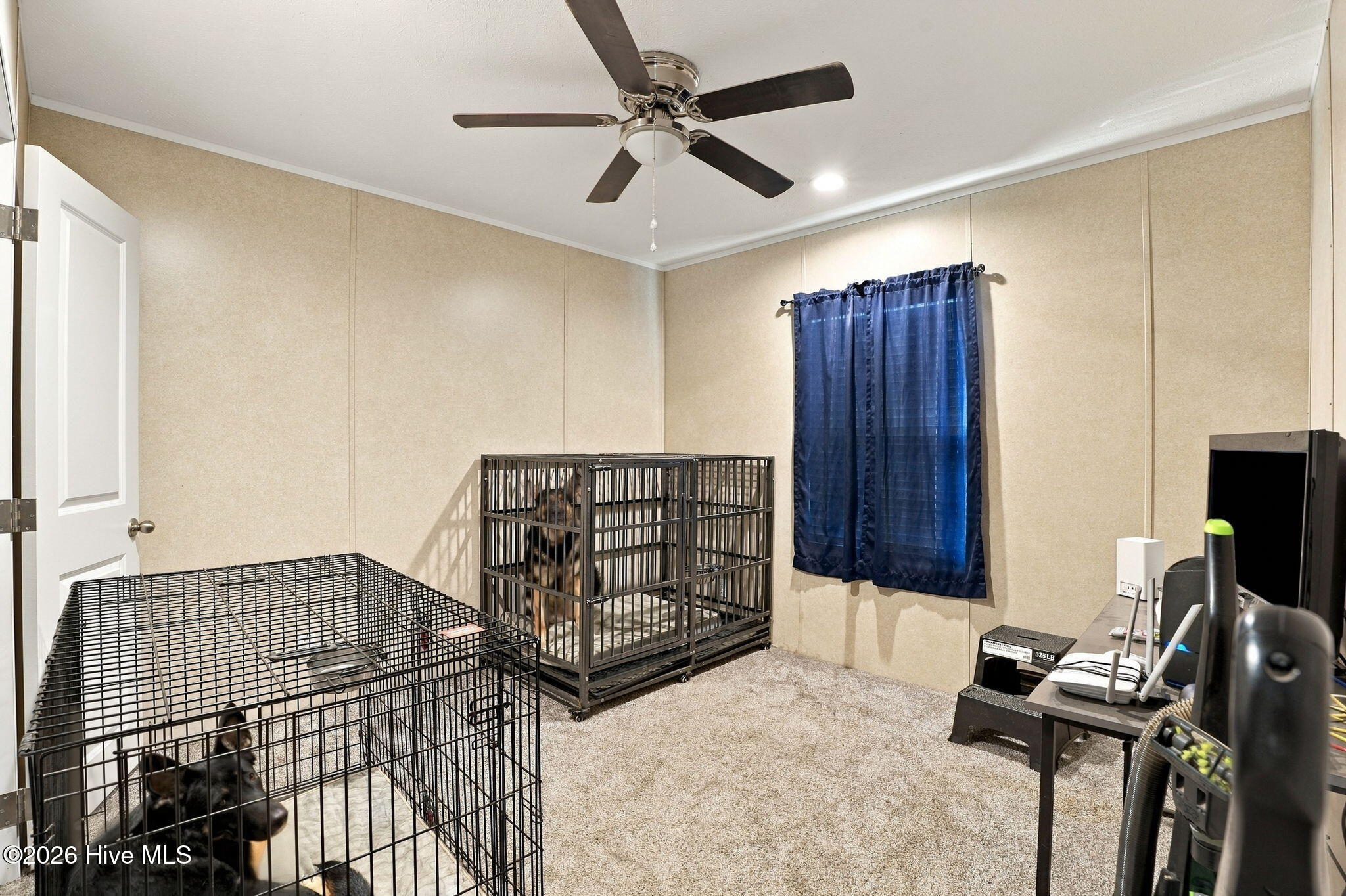 3875 White Oak Road Property Photo 19