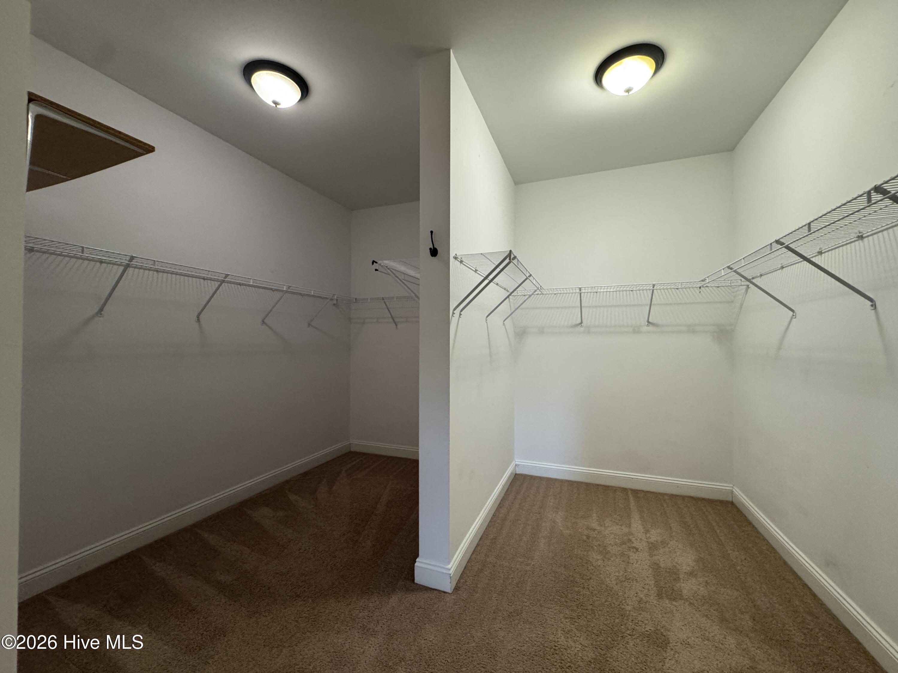 107 Roughleaf Trail Property Photo 16