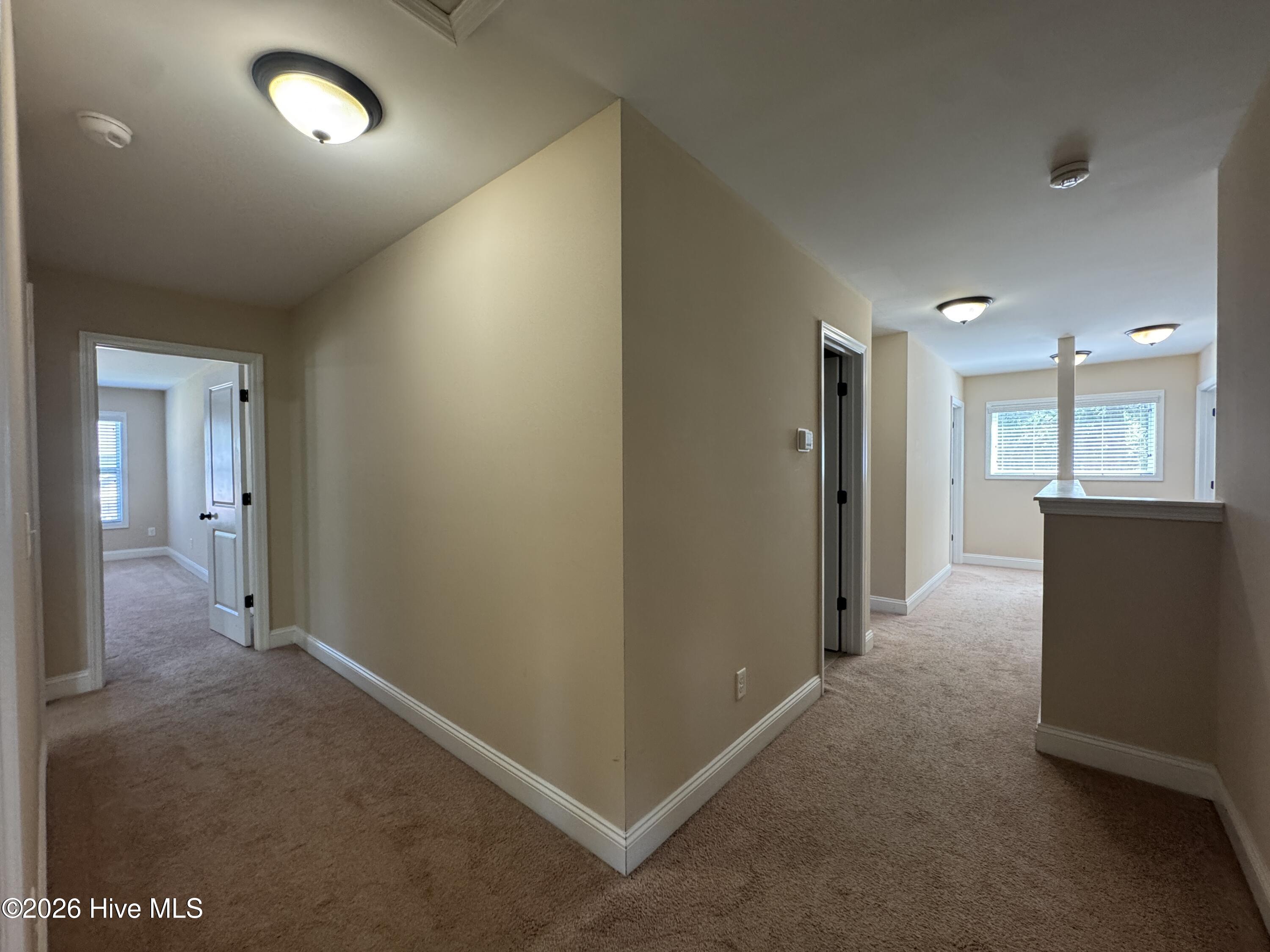 107 Roughleaf Trail Property Photo 18