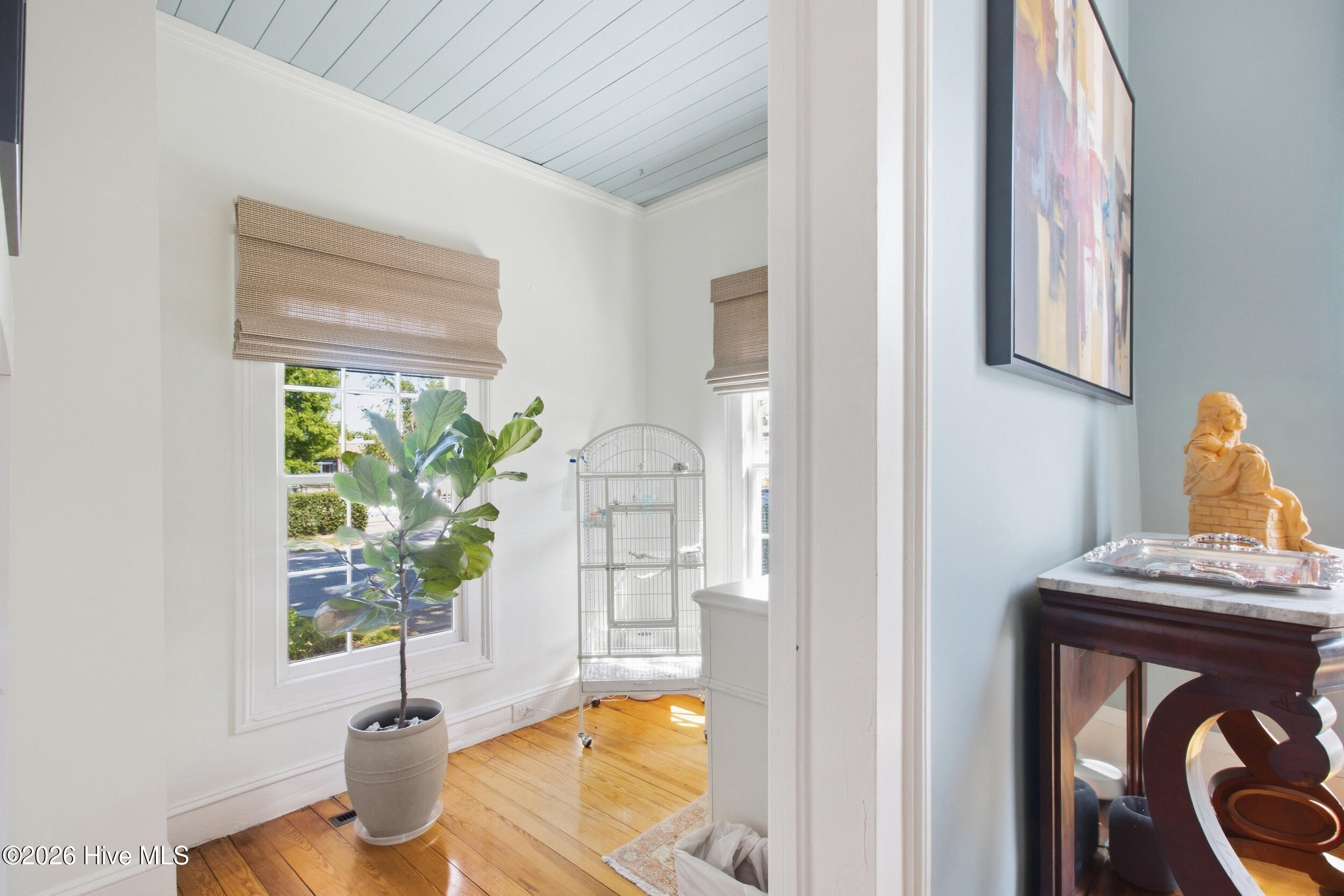 509 Pollock Street Property Photo 22