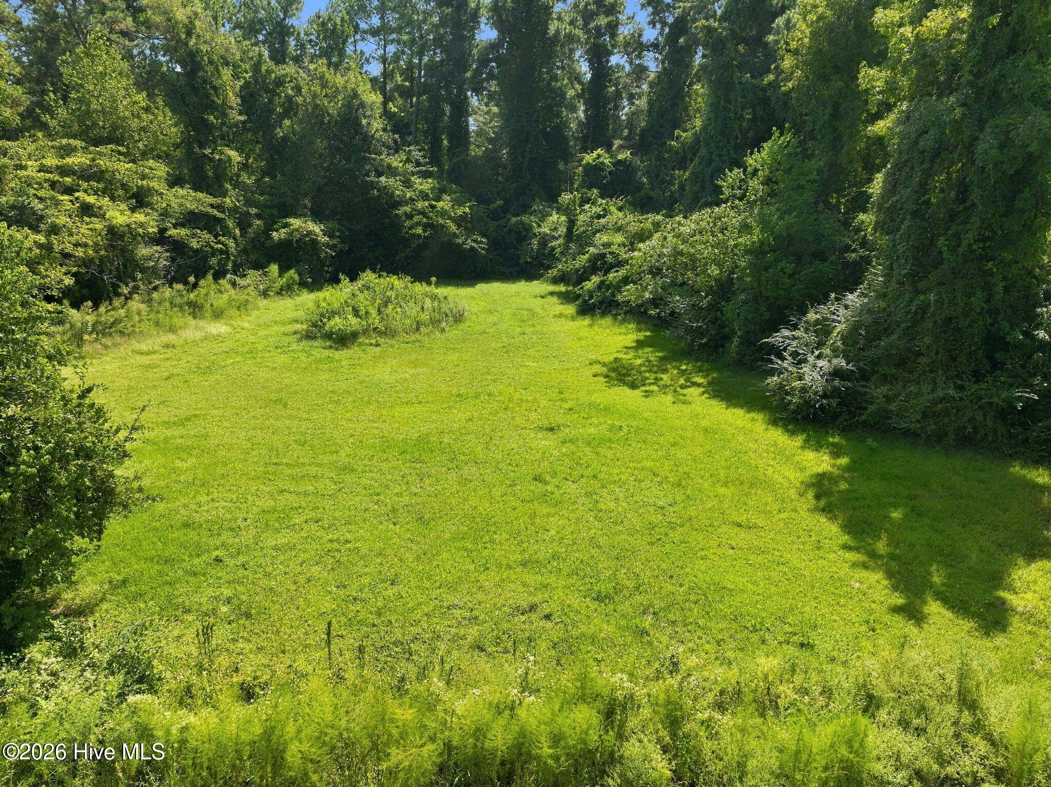 119 Mike Loop Road Property Photo 5