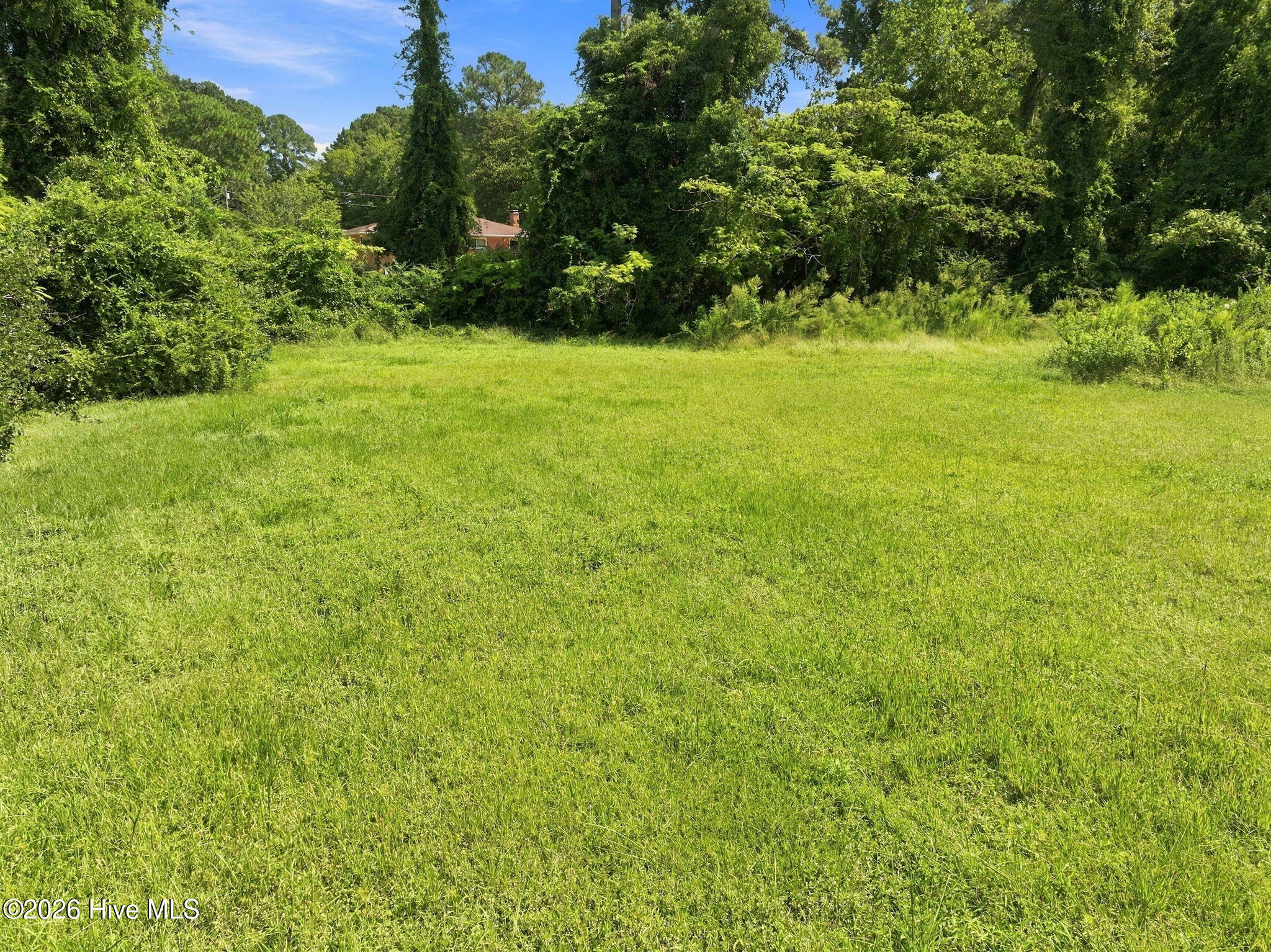 119 Mike Loop Road Property Photo 7