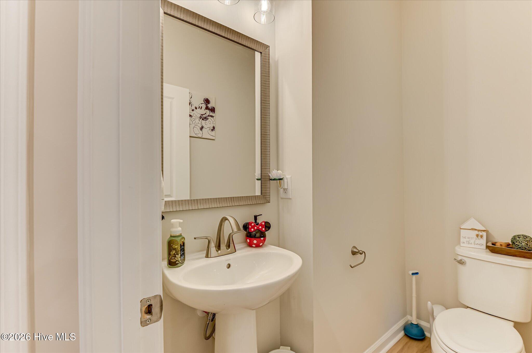 808 Blue Willow Drive Property Photo 26