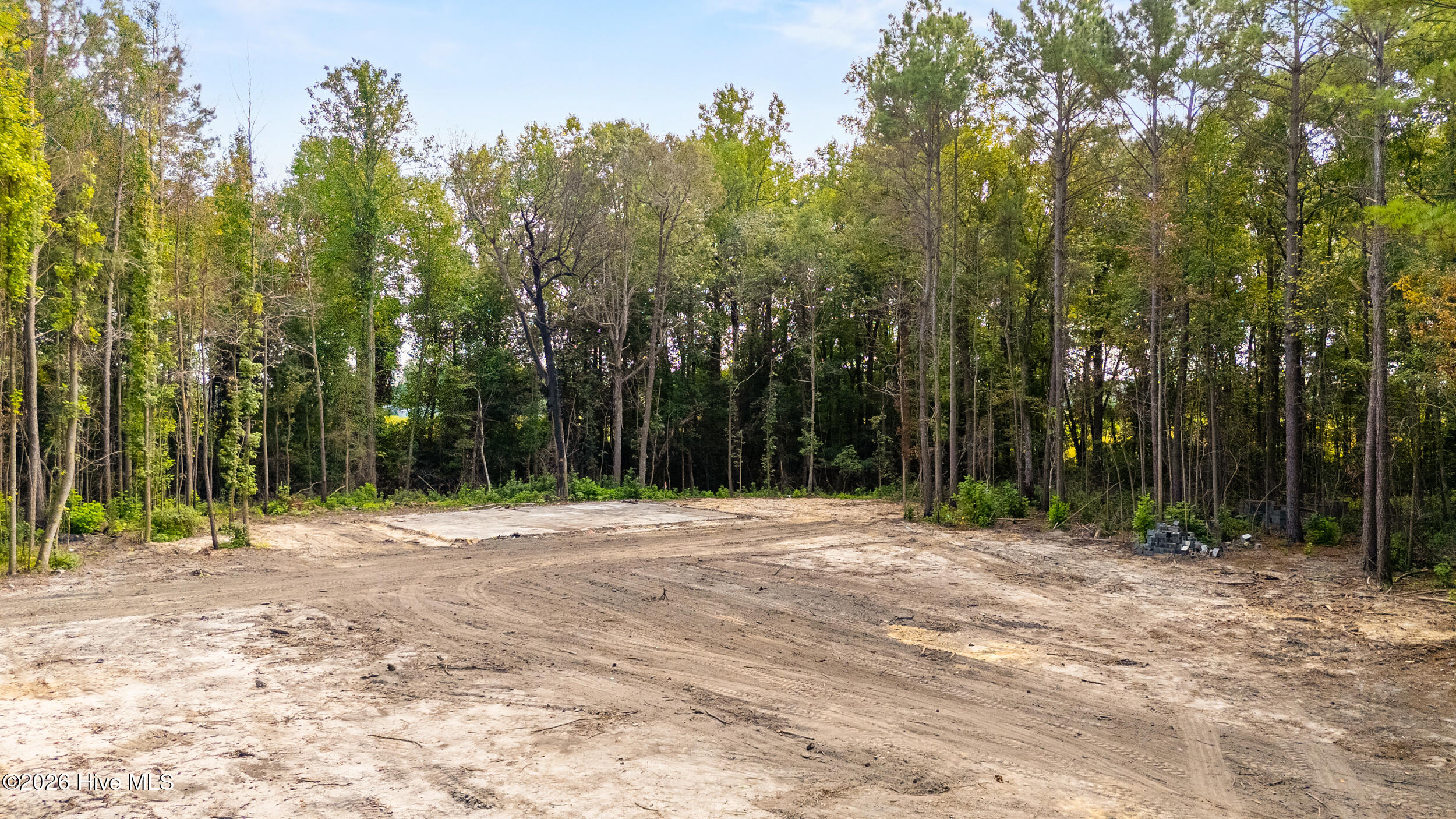 0 Us Hwy 117 N Lot 3 Property Photo 1