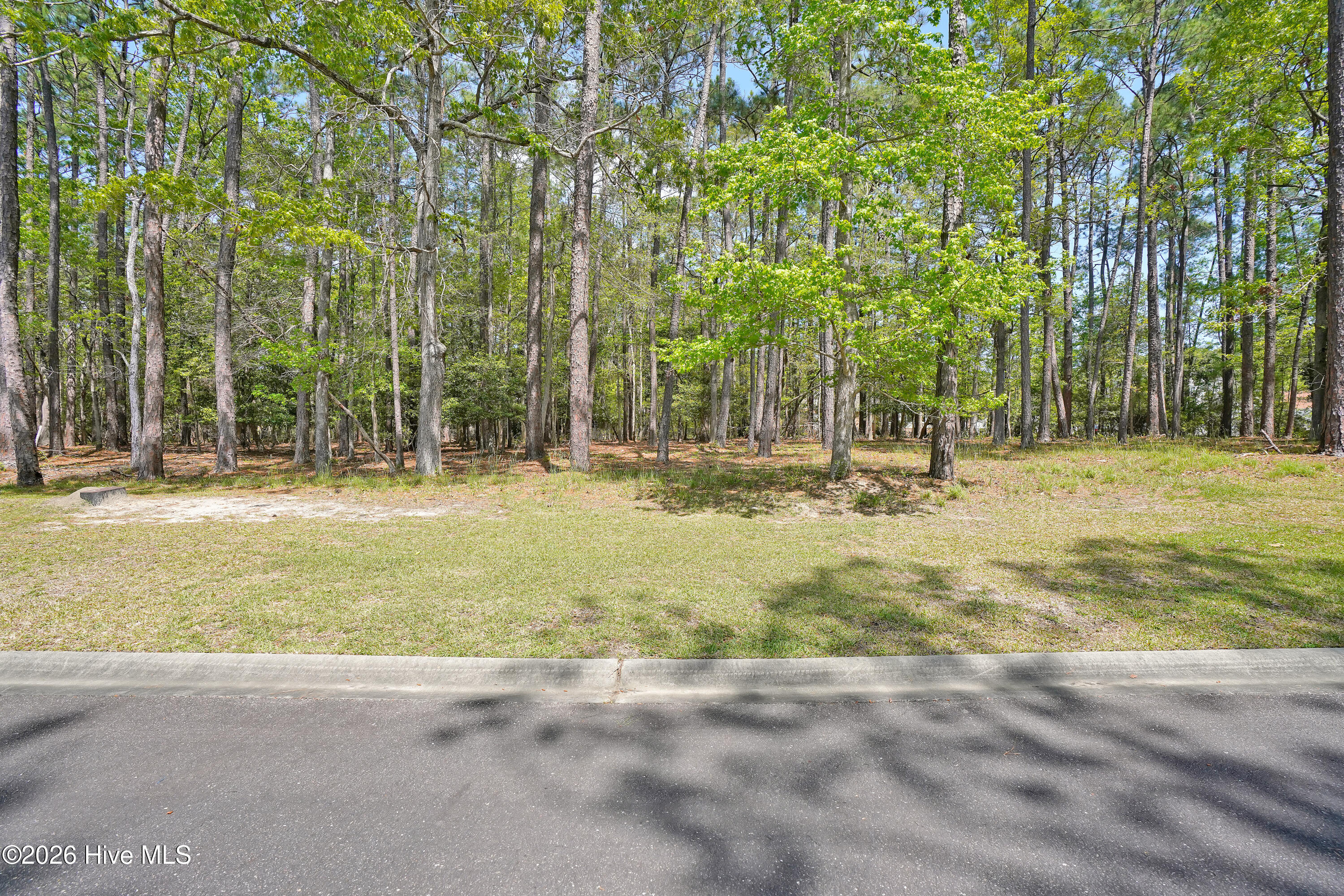 3736 51 Pine Brook Trail Property Photo 2