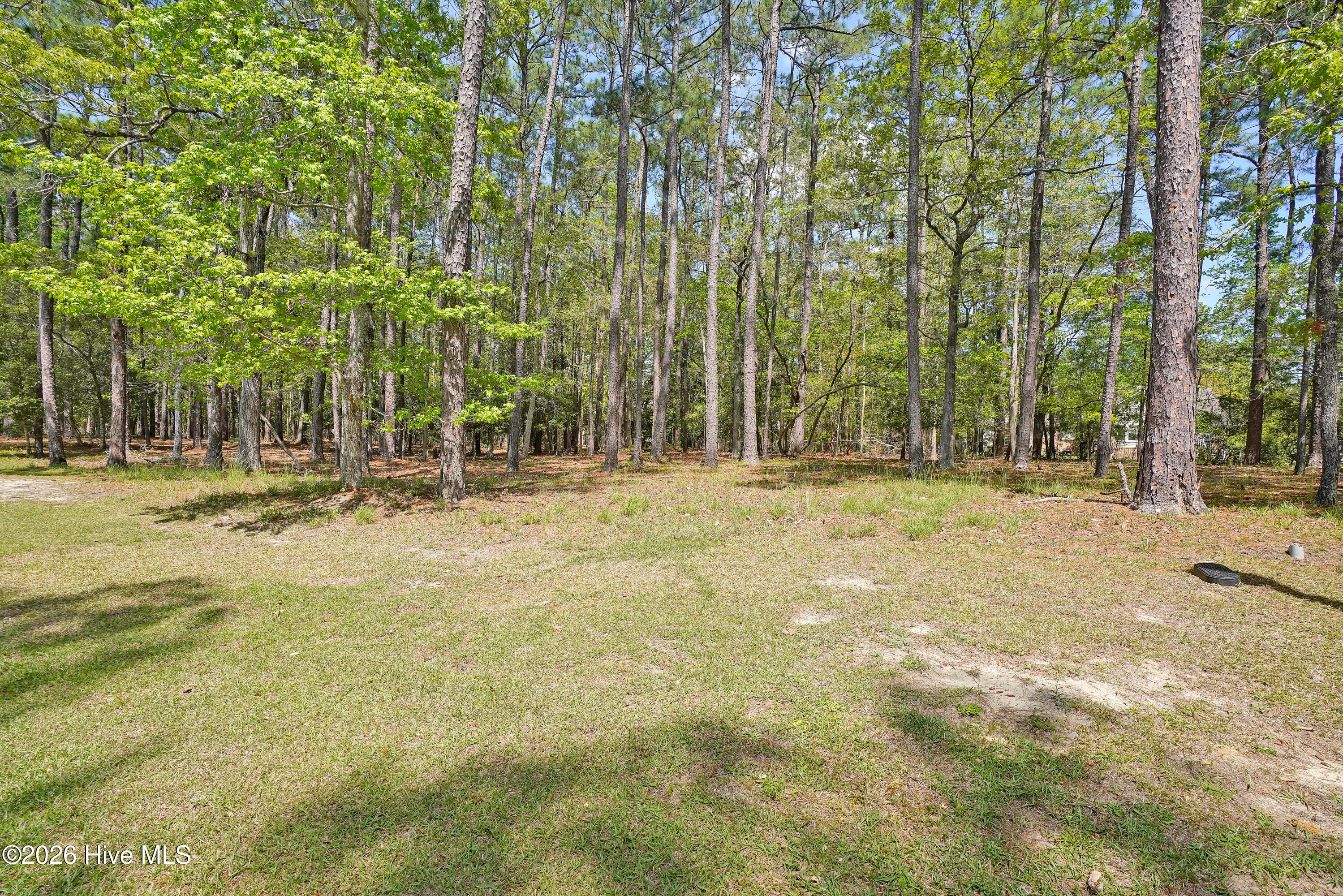 3736 51 Pine Brook Trail Property Photo 3