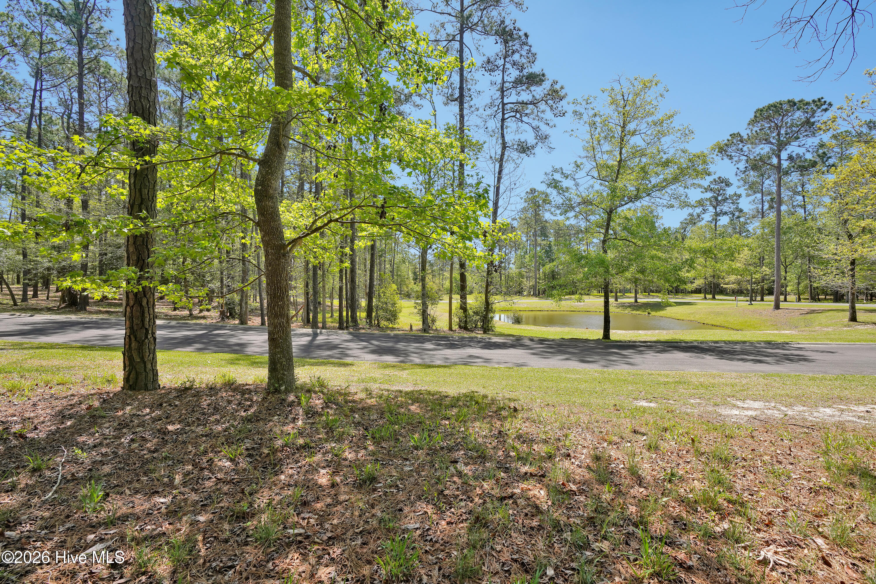 3736 51 Pine Brook Trail Property Photo 4