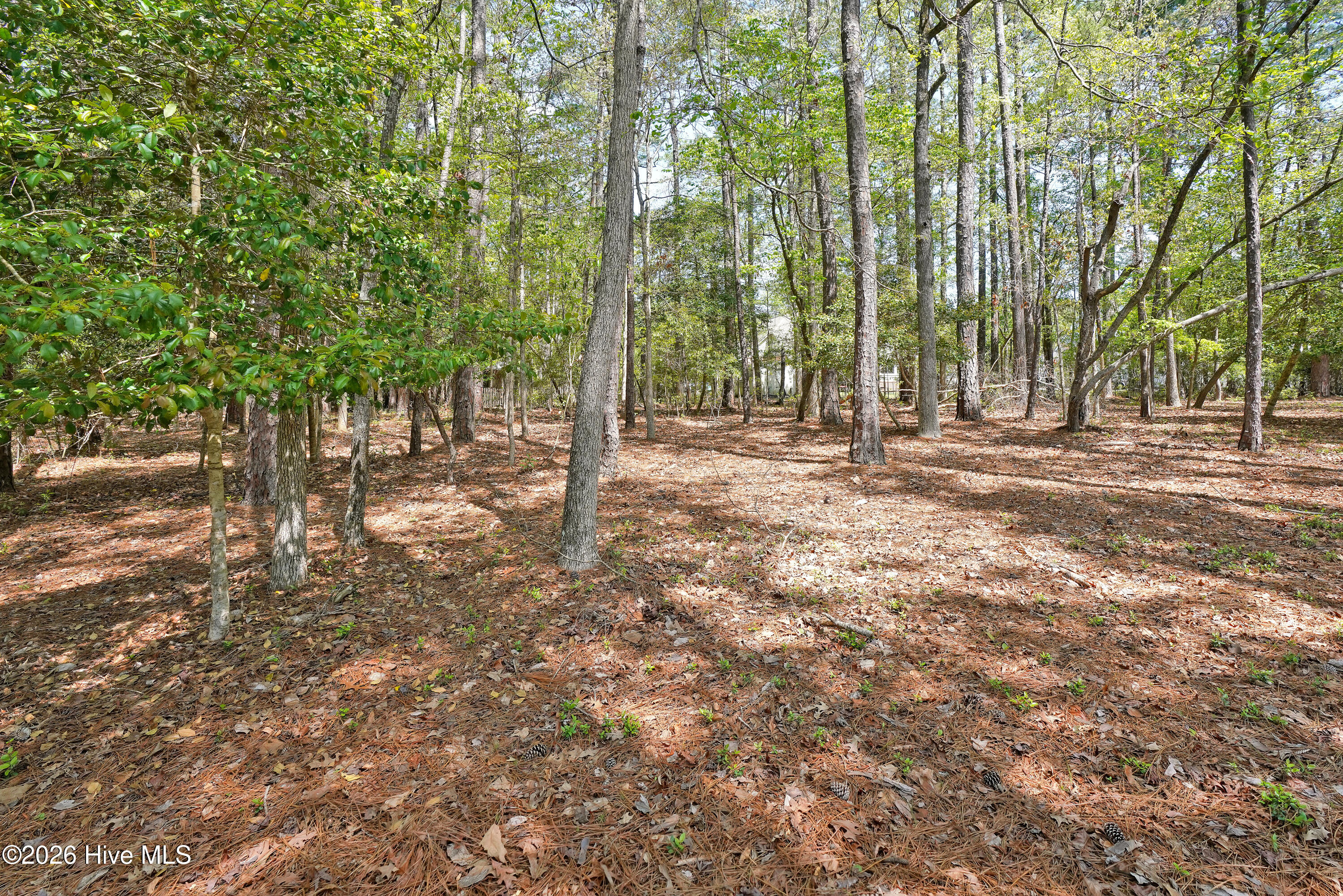 3736 51 Pine Brook Trail Property Photo 5