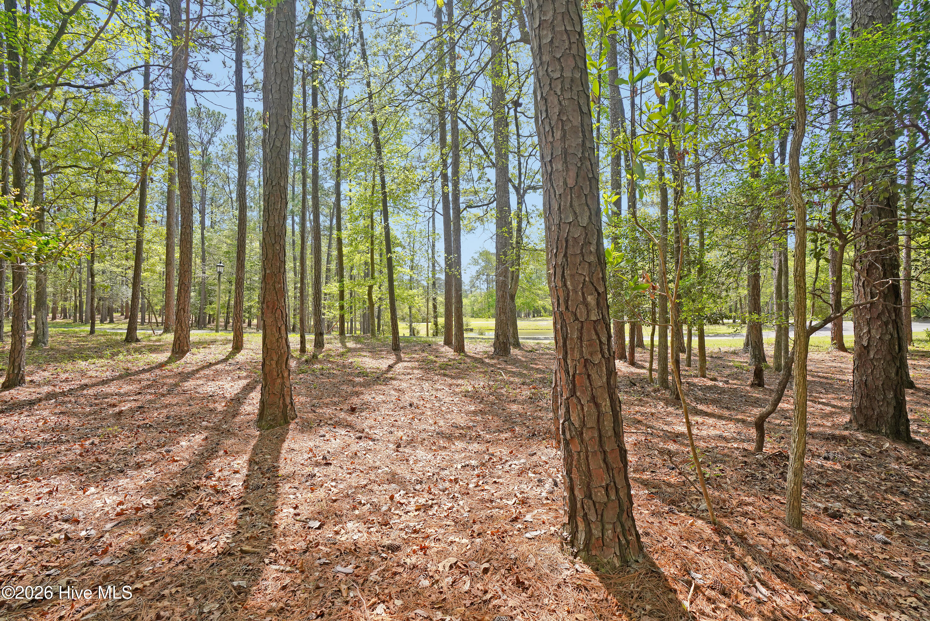 3736 51 Pine Brook Trail Property Photo 6