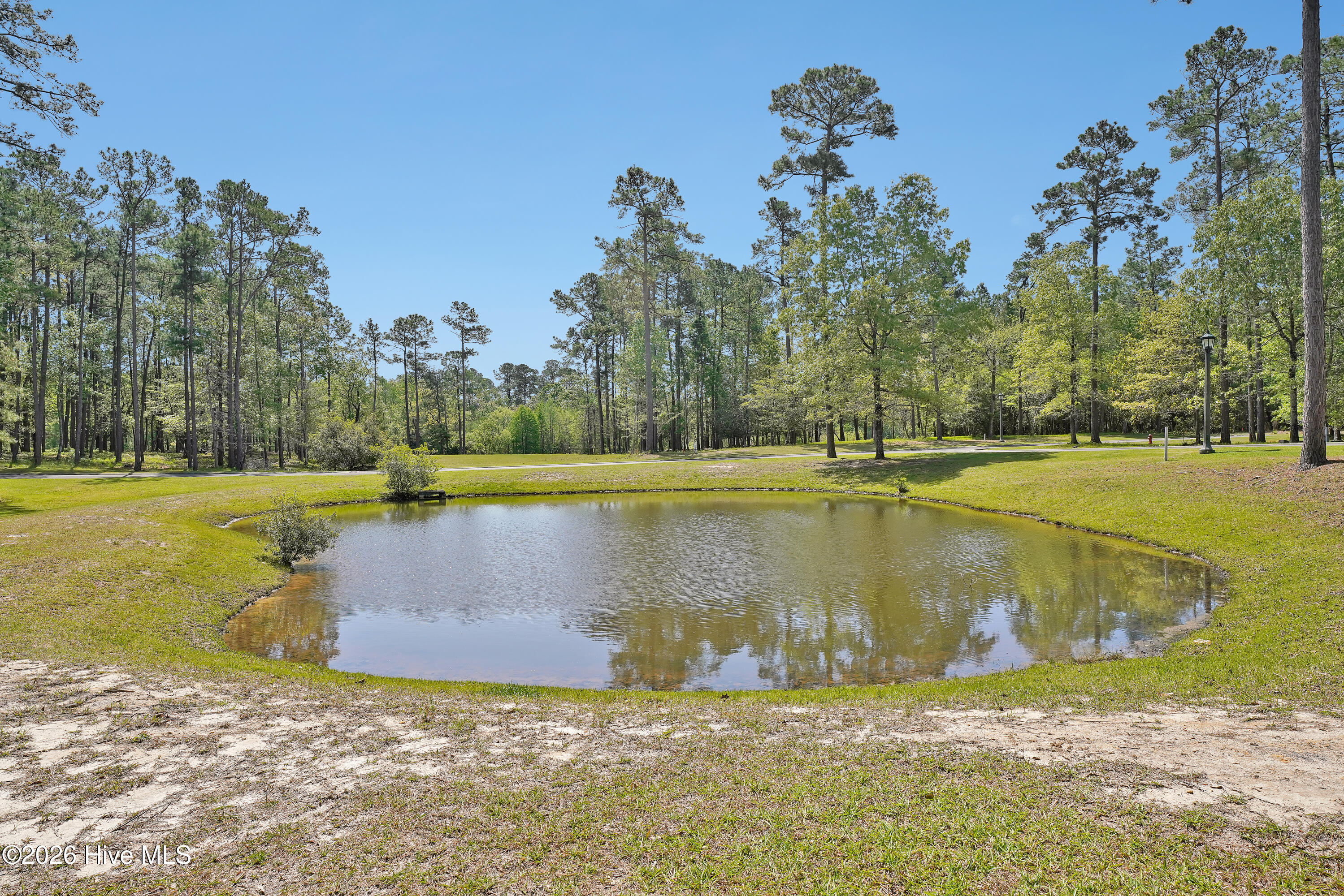 3736 51 Pine Brook Trail Property Photo 7