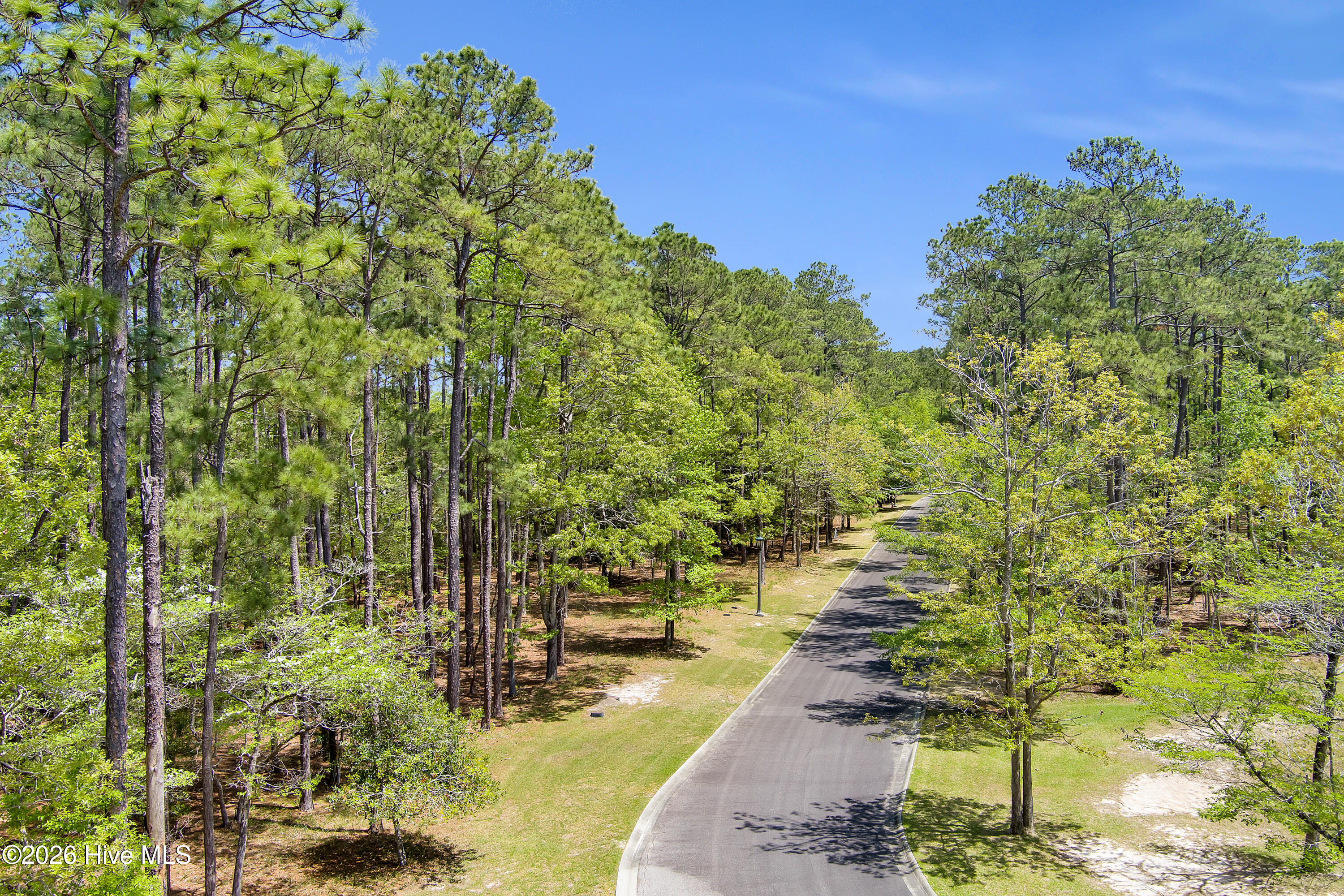 3736 51 Pine Brook Trail Property Photo 16