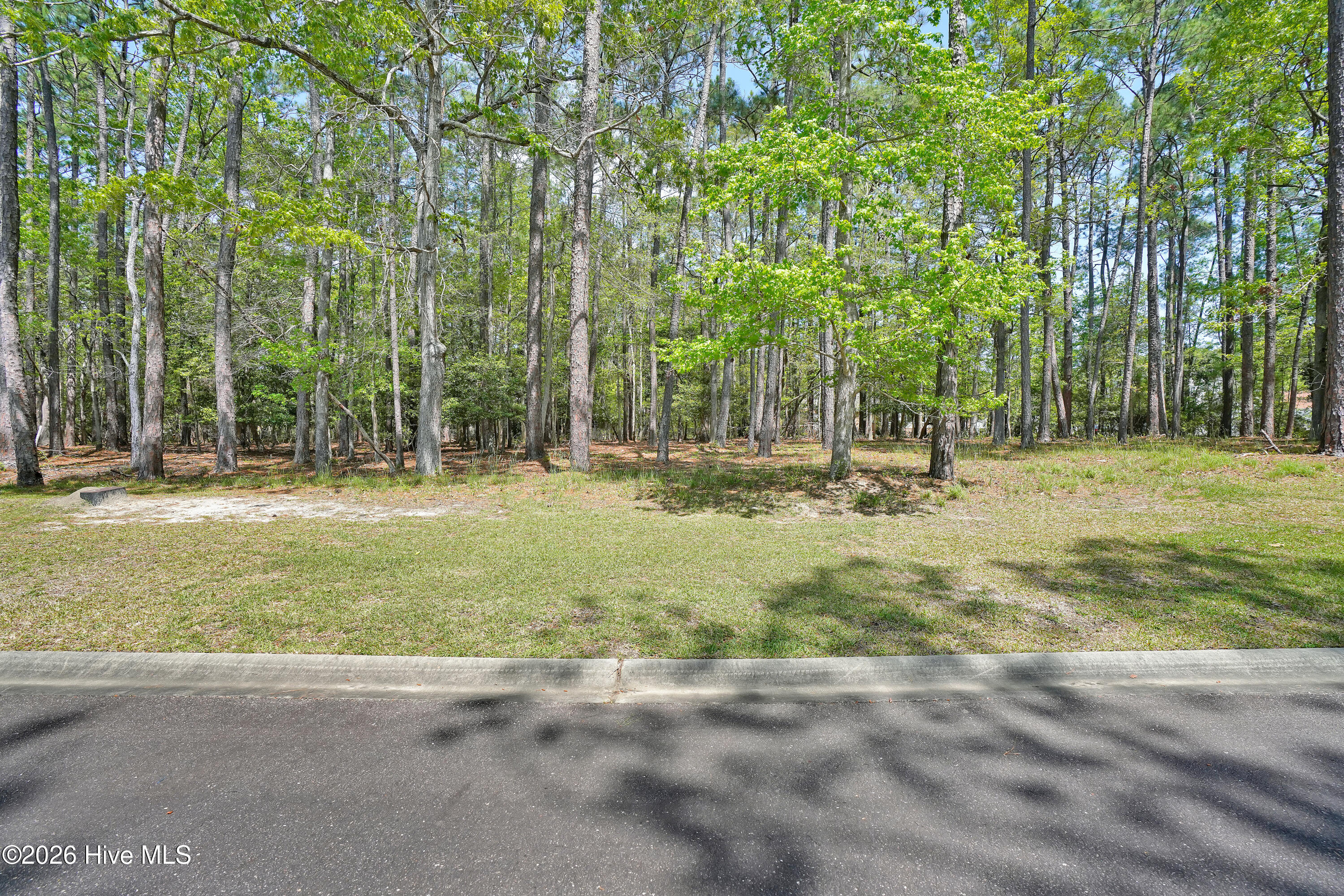 3736 51 Pine Brook Trail Property Photo 17