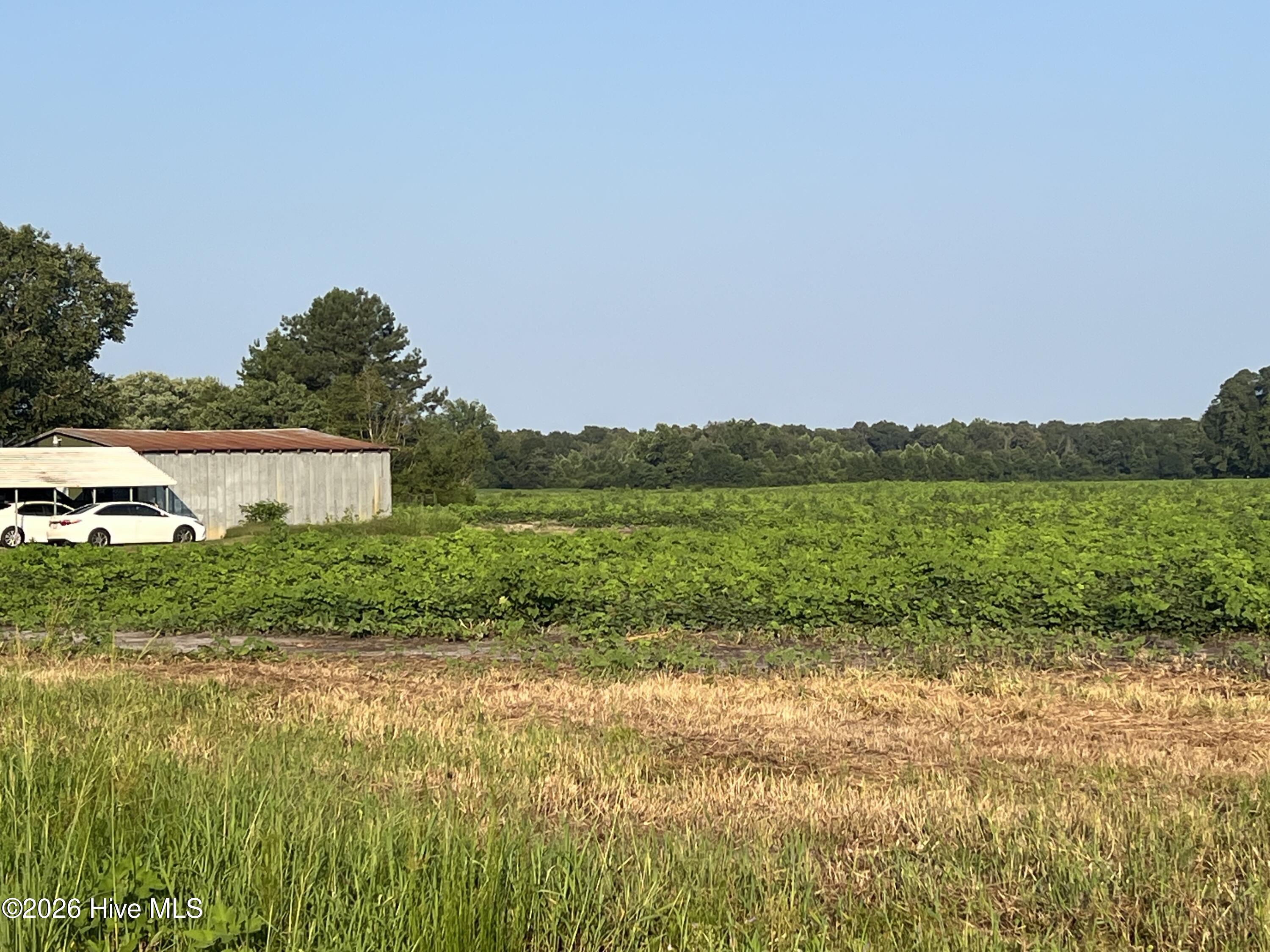3541 Daughety White Road Road Property Photo 1