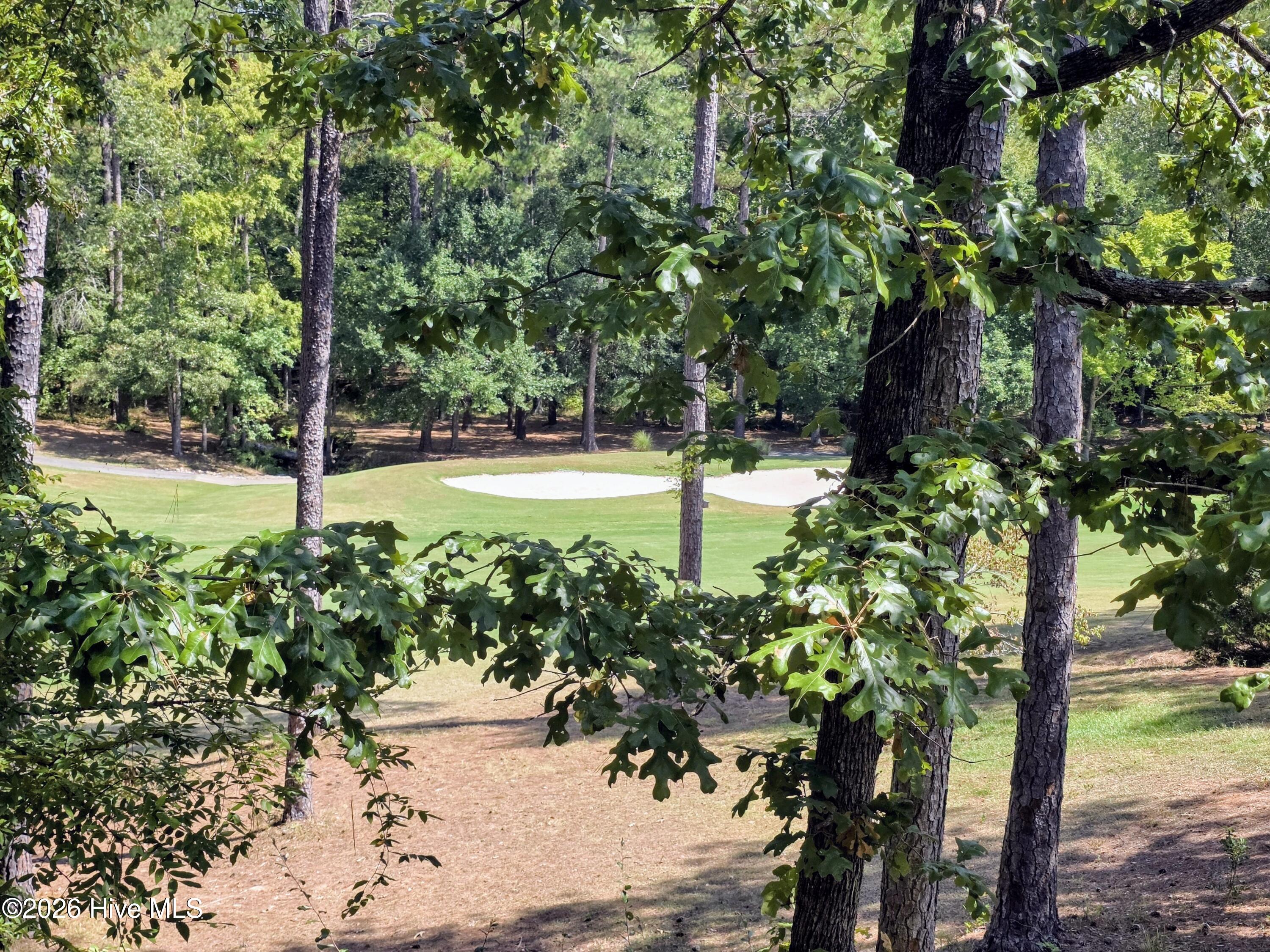 310 Divot Court Property Photo 48