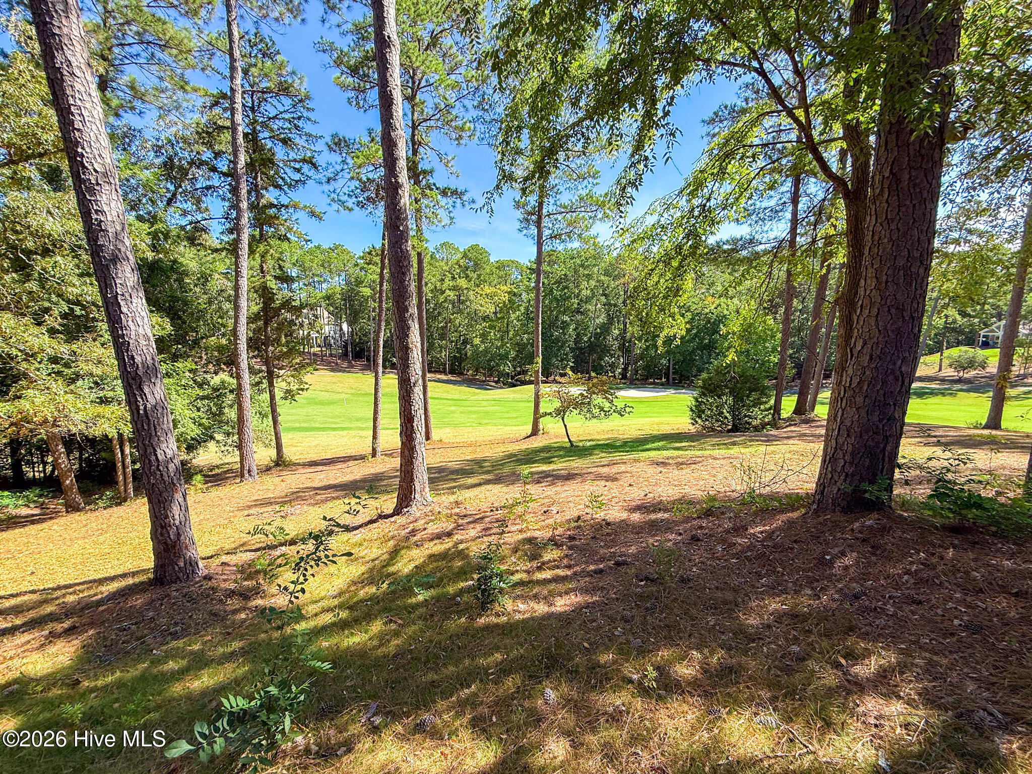 310 Divot Court Property Photo 52