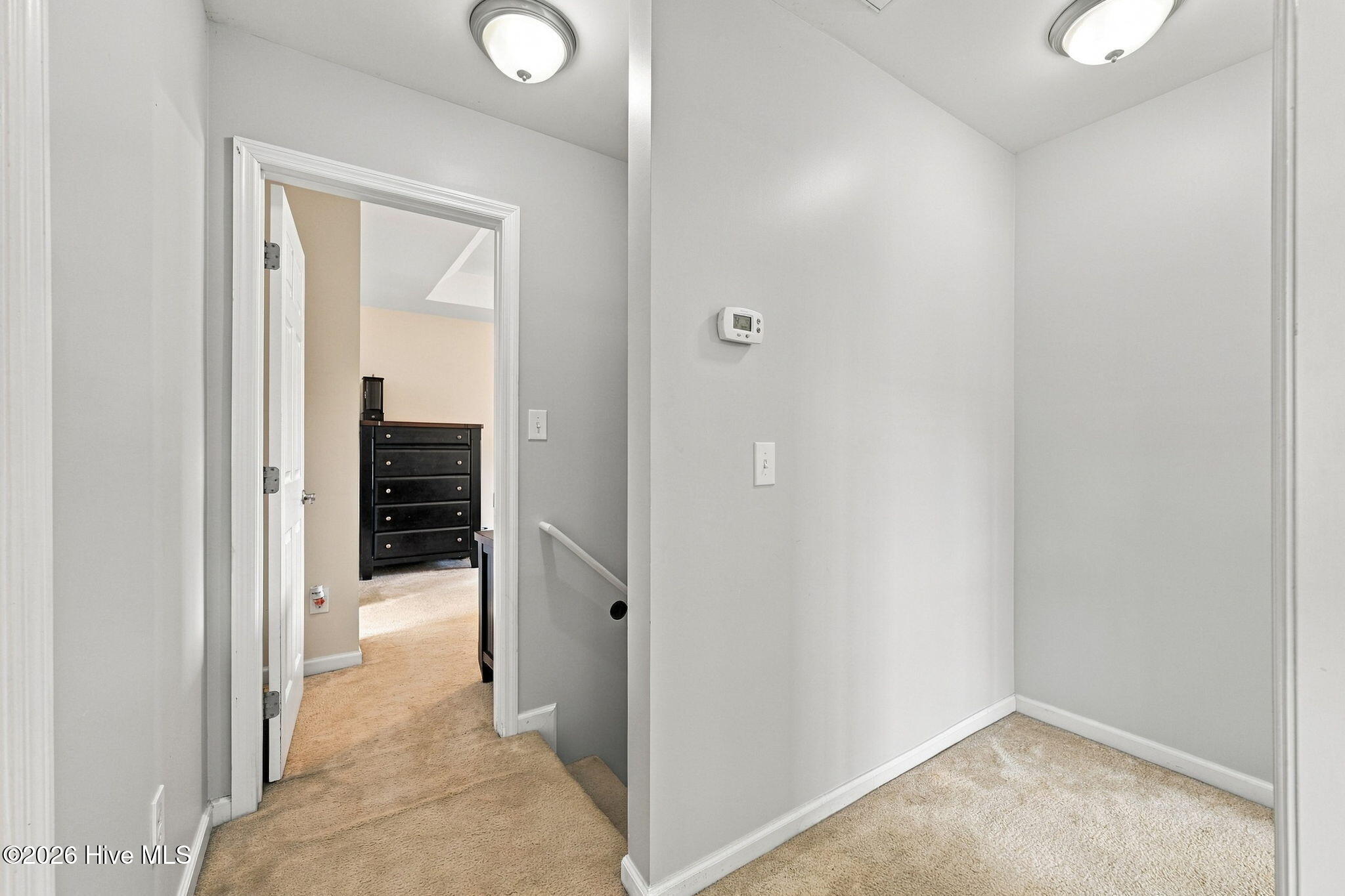 113 Borough Nest Drive Property Photo 19