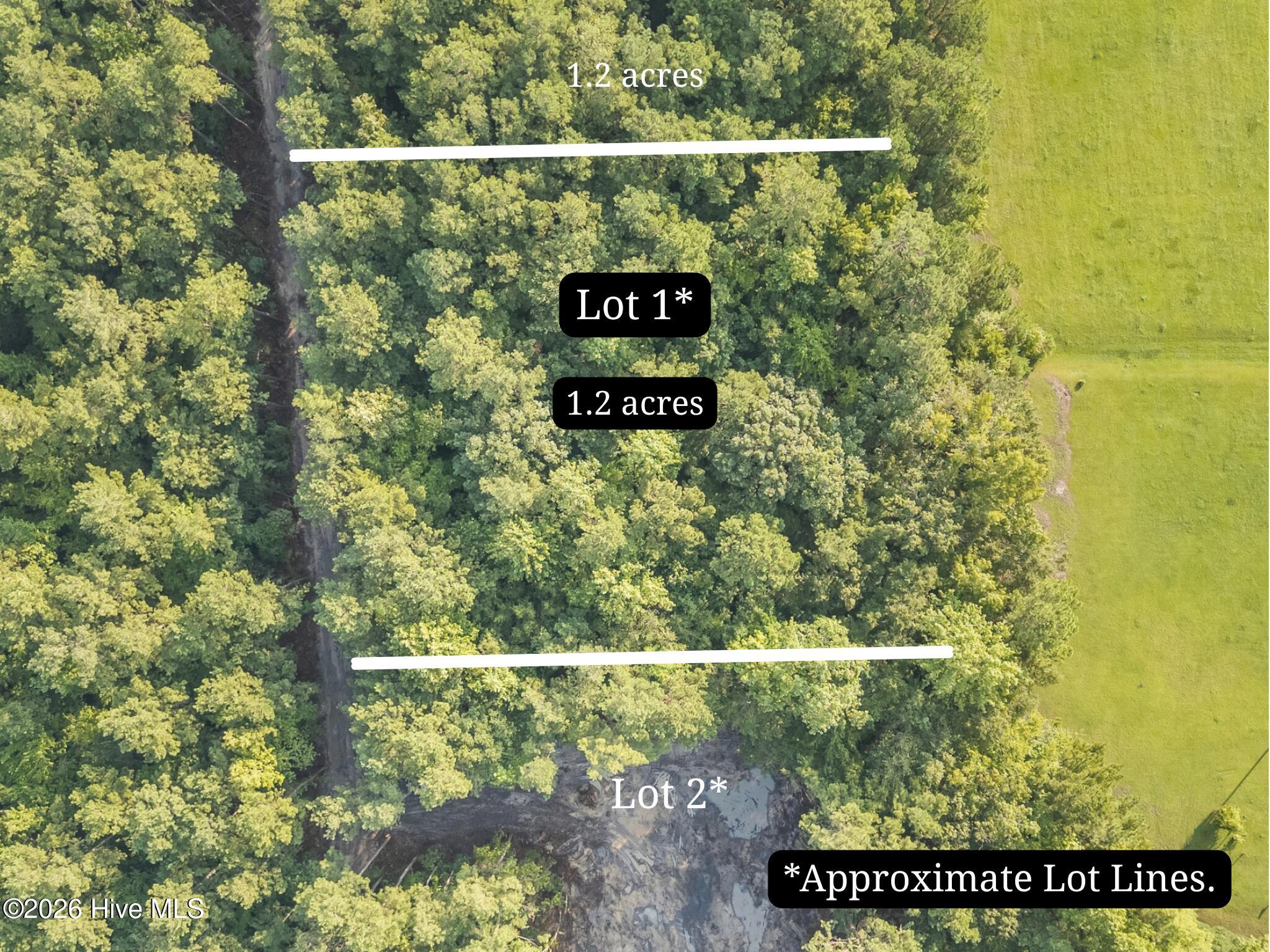 0 Us Hwy 117 N Lot 1 Property Photo 1