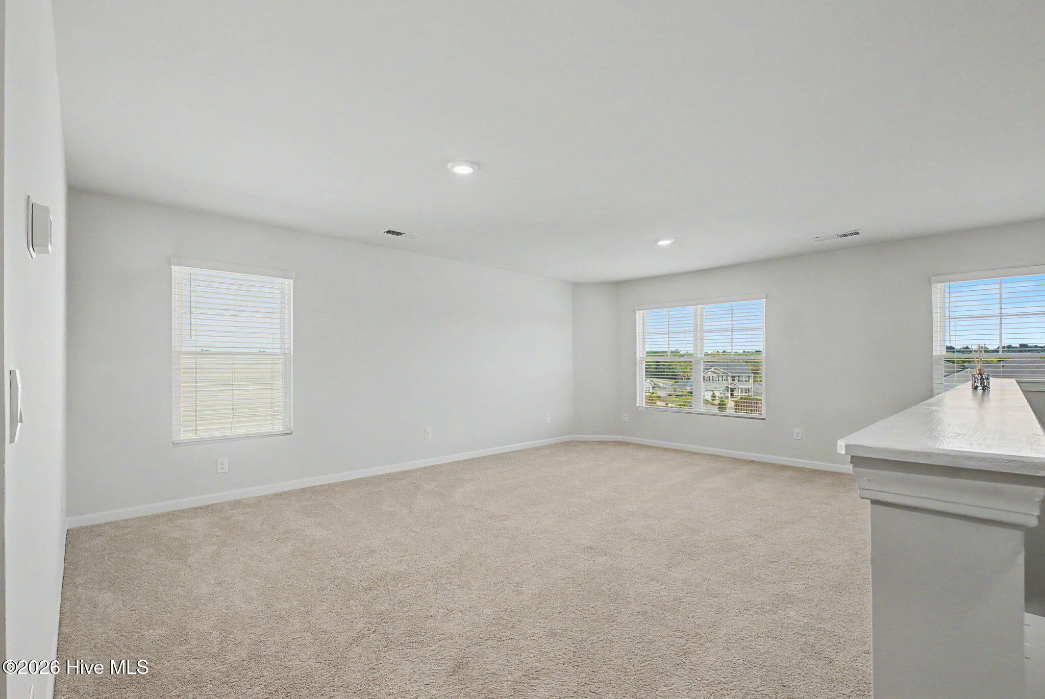 6113 Whitewater Drive Property Photo 26