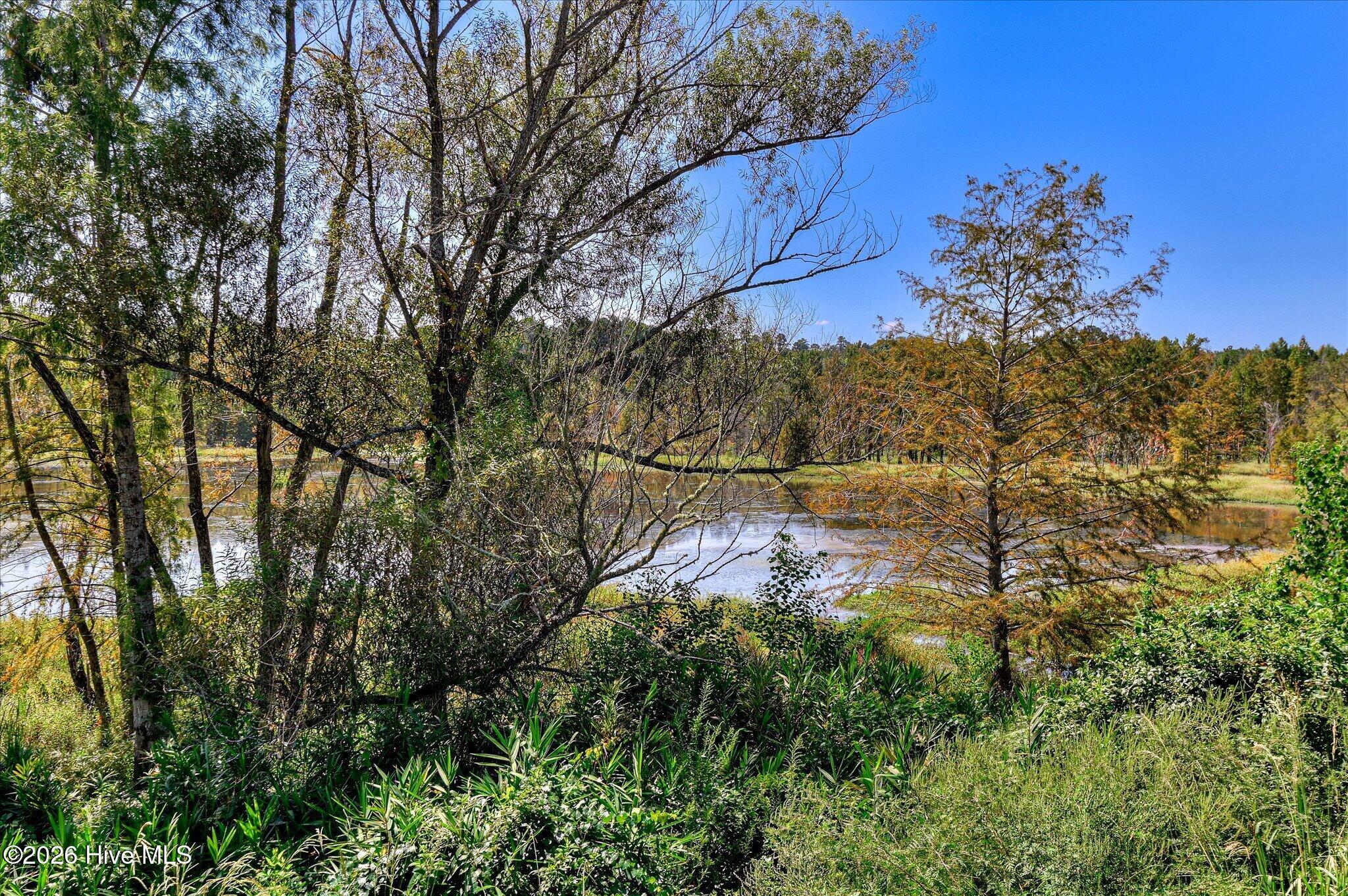 657 Whitney Shoals Road Property Photo 68