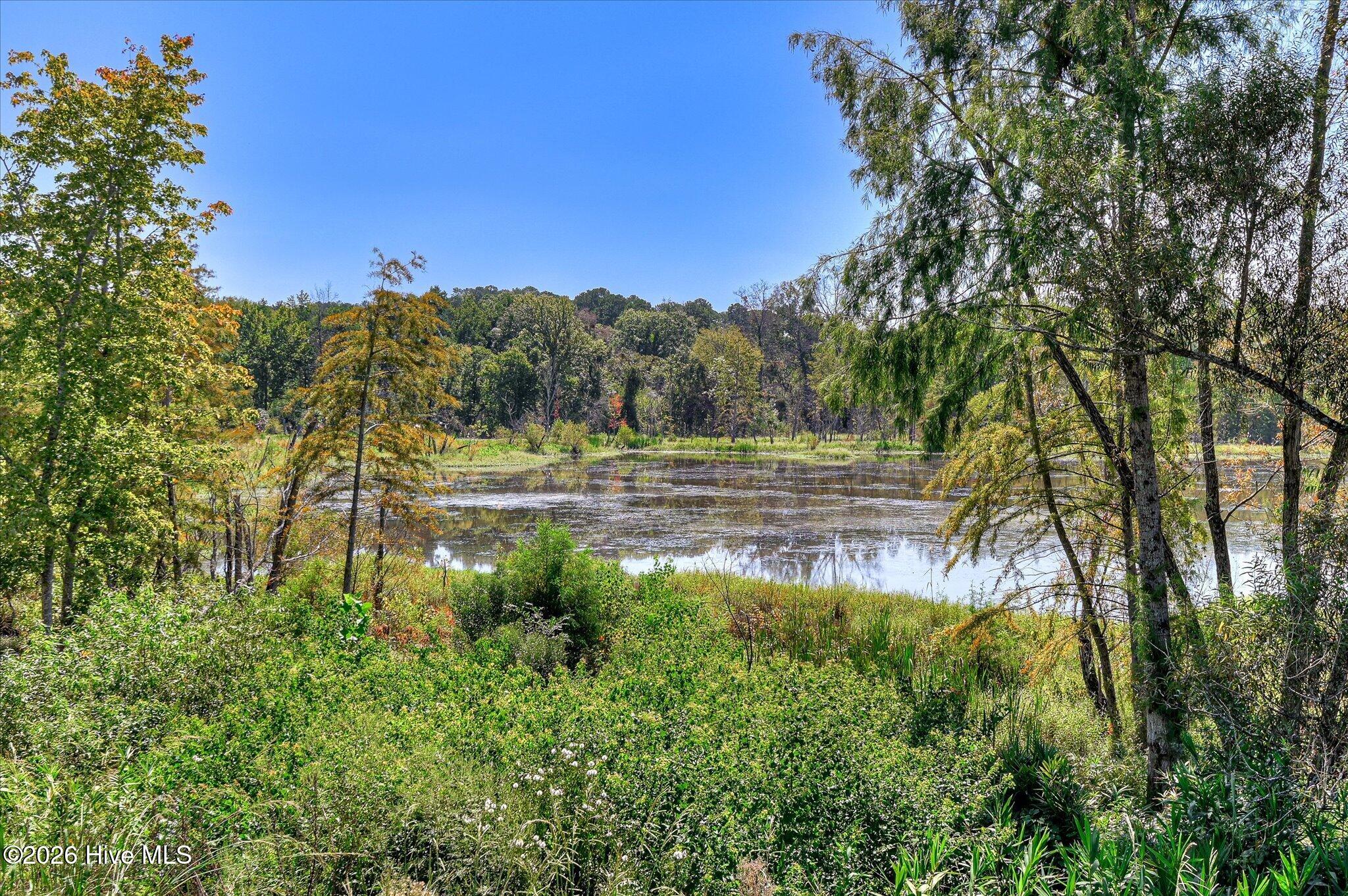 657 Whitney Shoals Road Property Photo 69