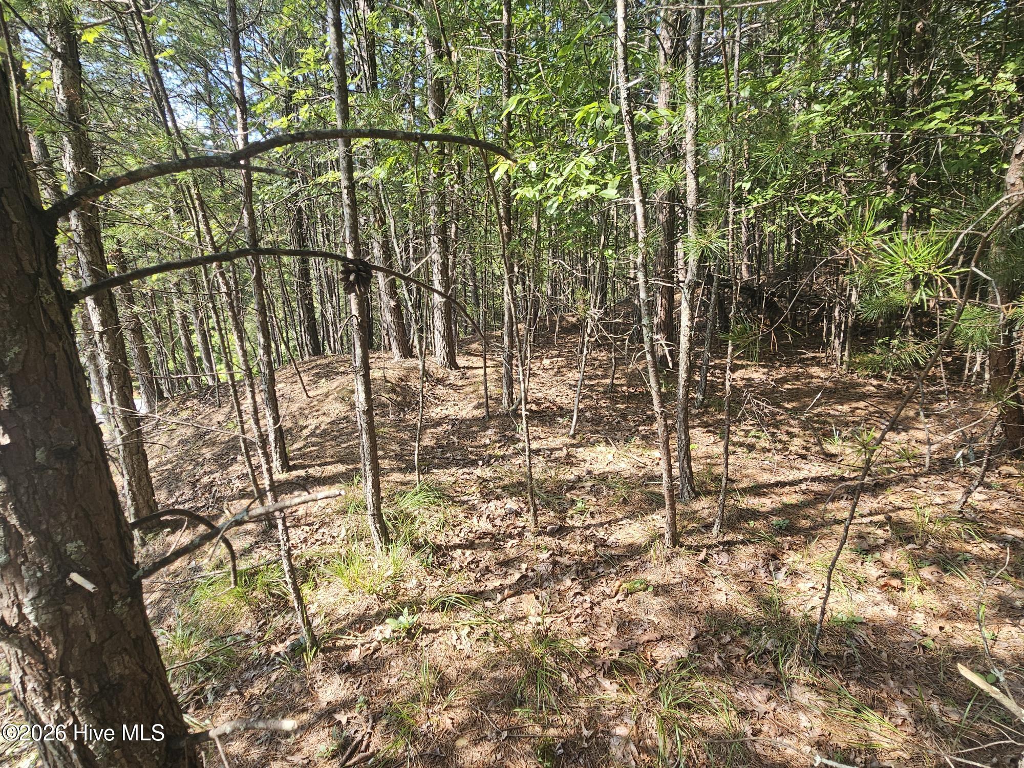 Lot 76 Wildcat Drive Property Photo 2