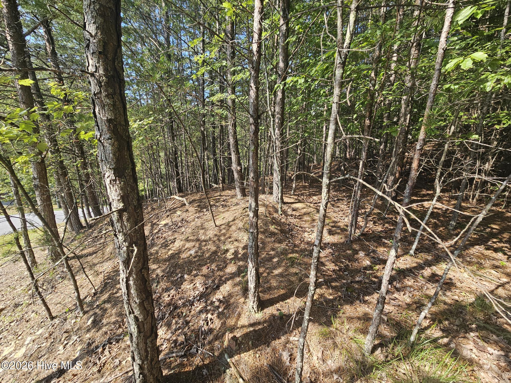 Lot 76 Wildcat Drive Property Photo 3