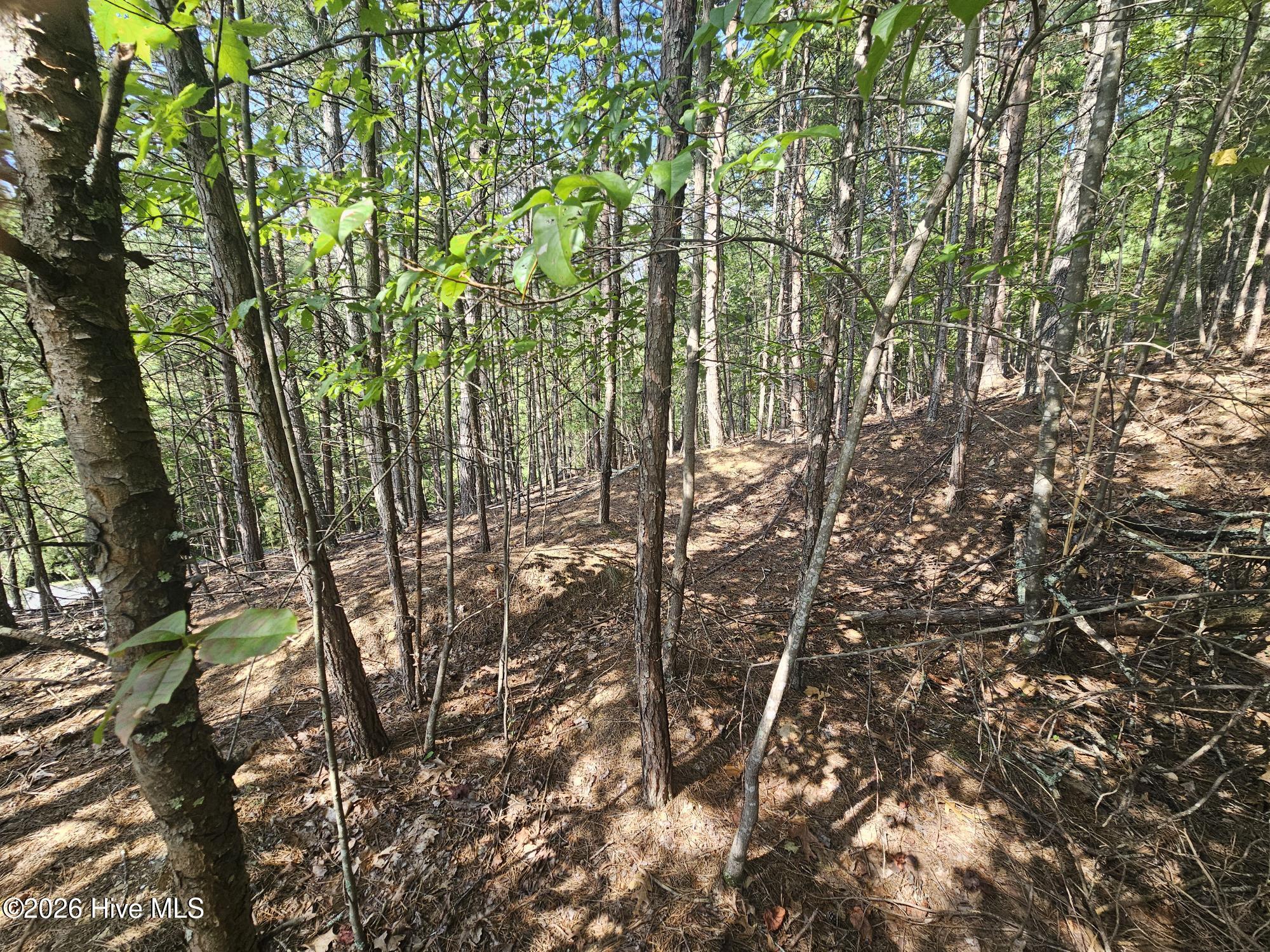 Lot 76 Wildcat Drive Property Photo 4