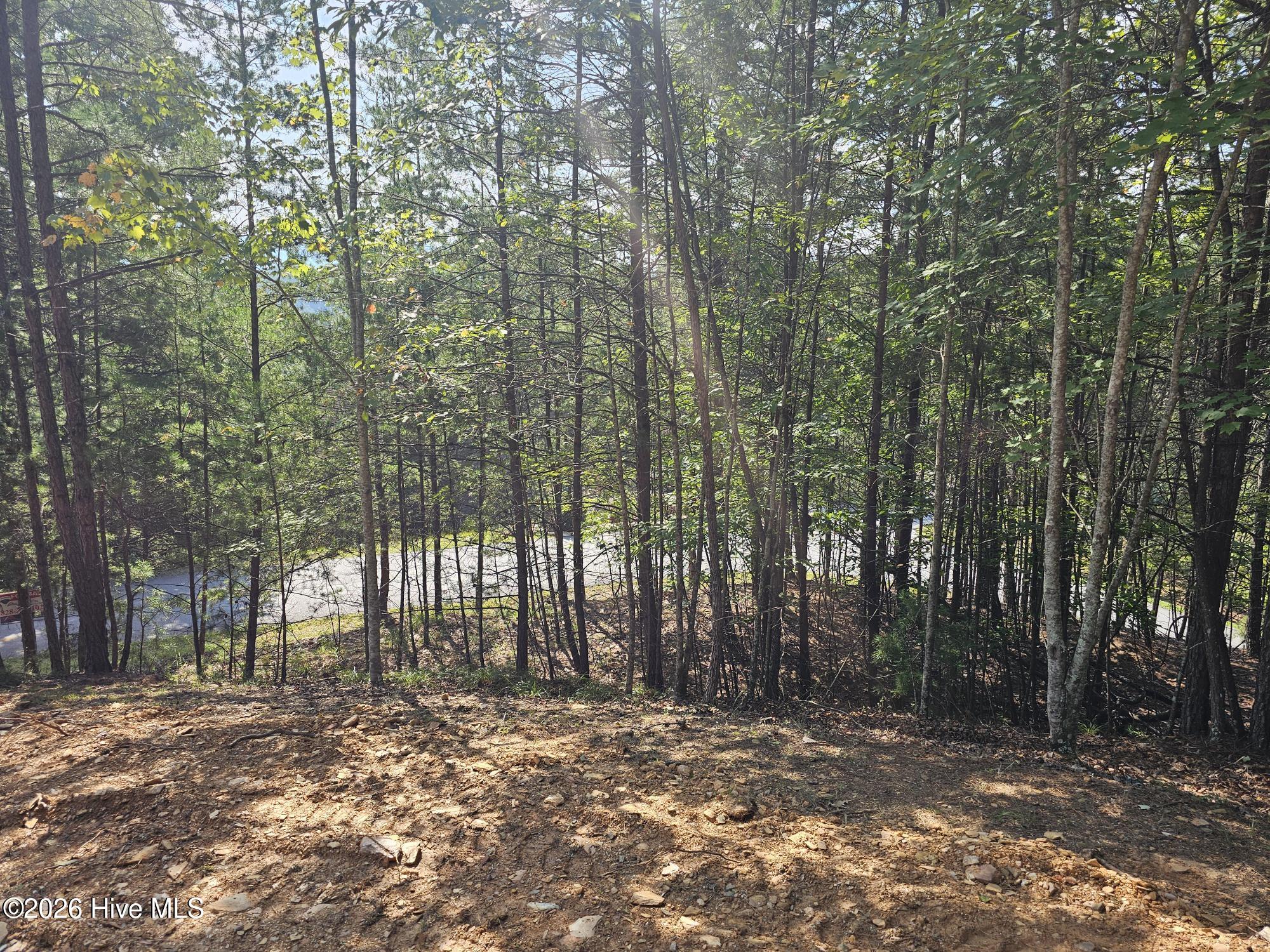 Lot 76 Wildcat Drive Property Photo 5