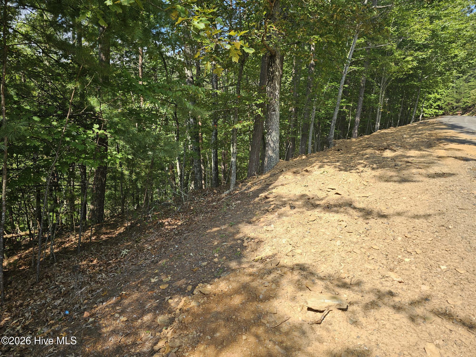 Lot 76 Wildcat Drive Property Photo 6