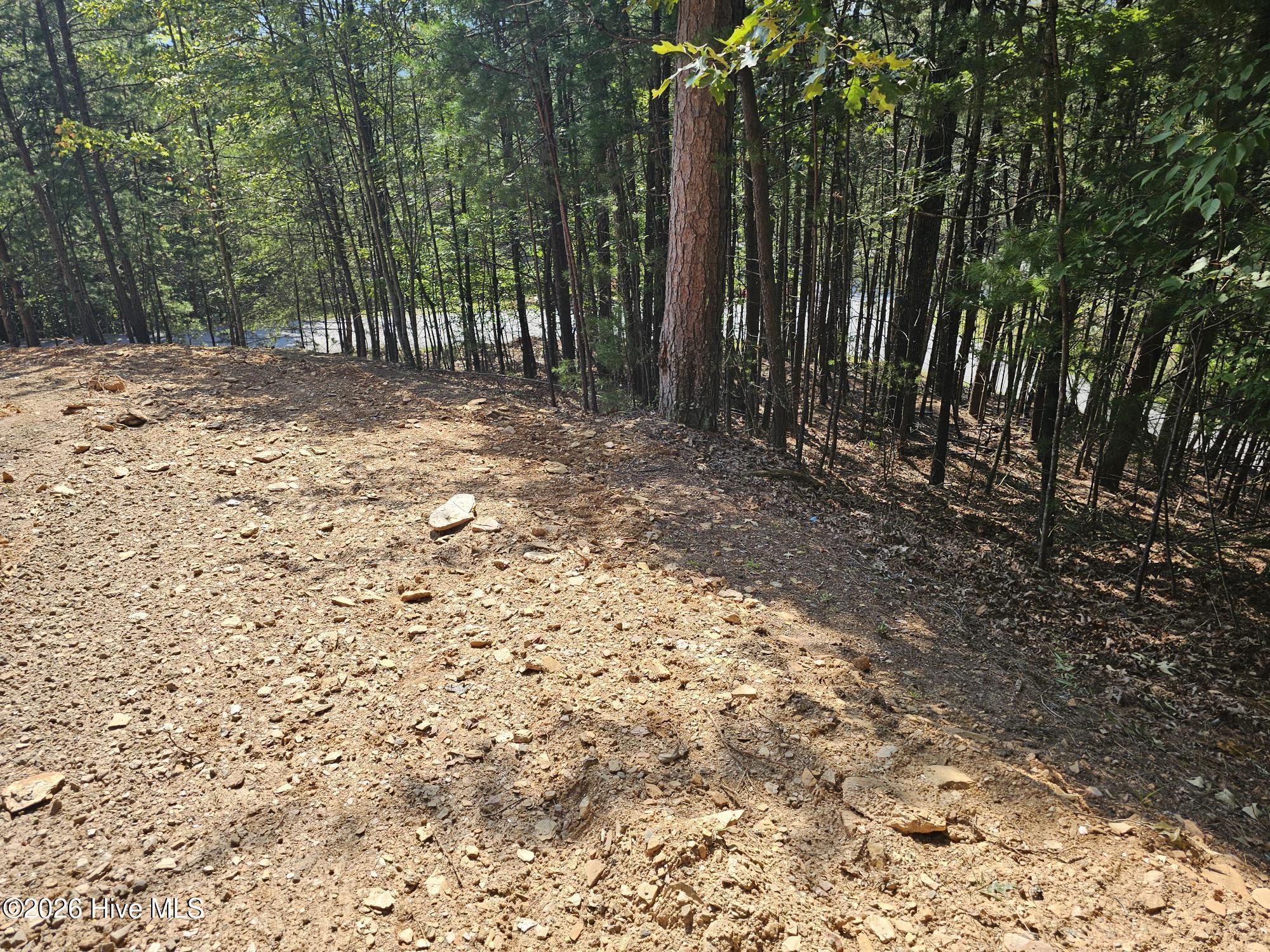 Lot 76 Wildcat Drive Property Photo 7