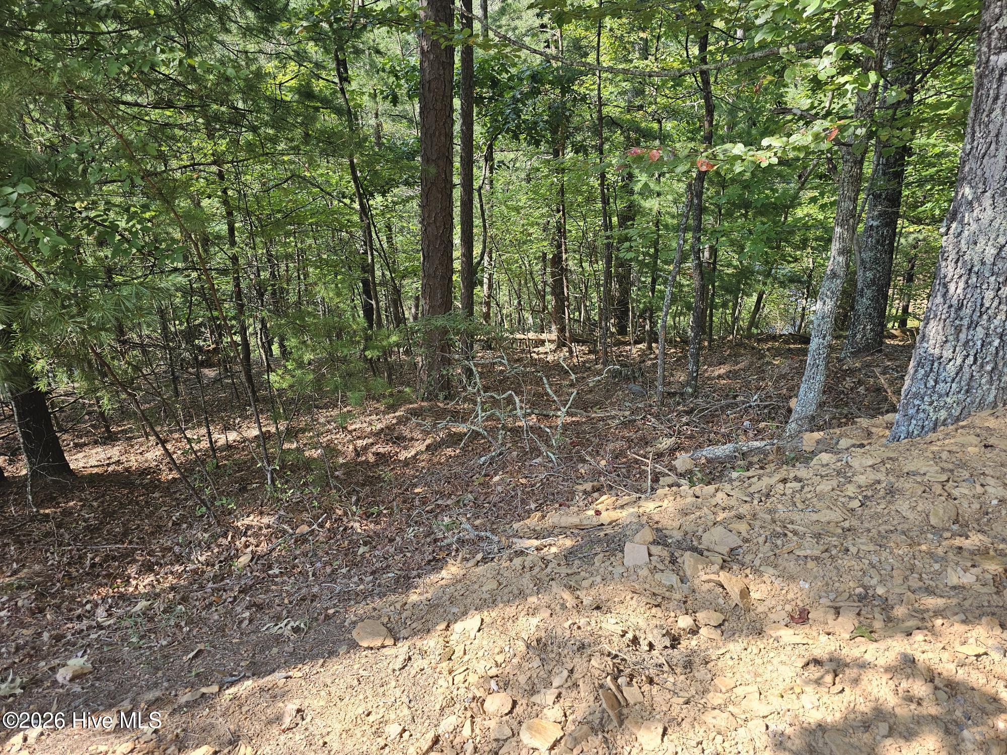 Lot 76 Wildcat Drive Property Photo 8