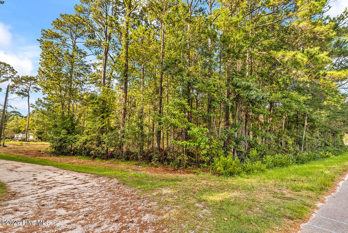 390 Walking Horse Point Sw Property Photo 3