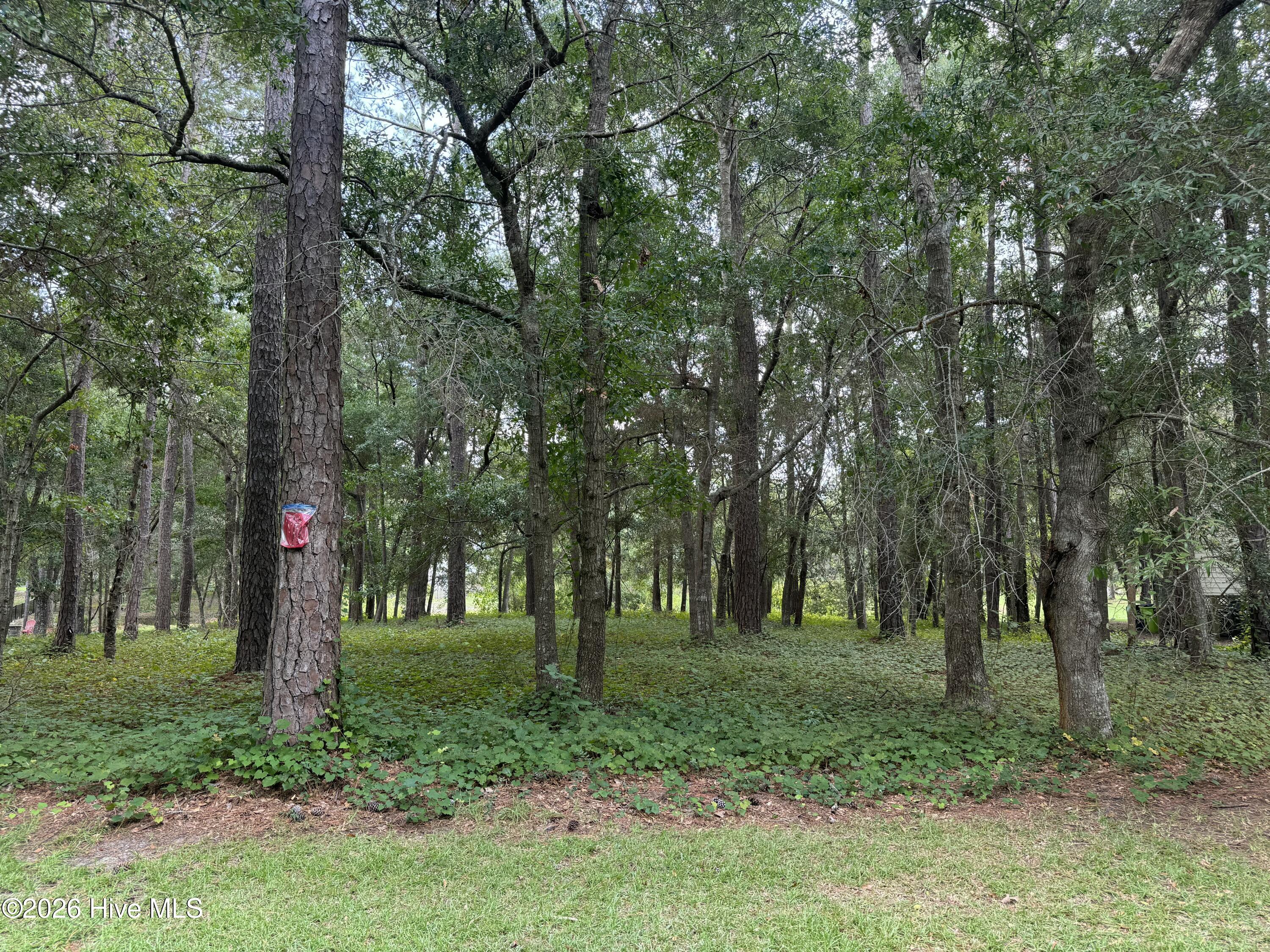3055 103 Channel Drive Se Property Photo 4