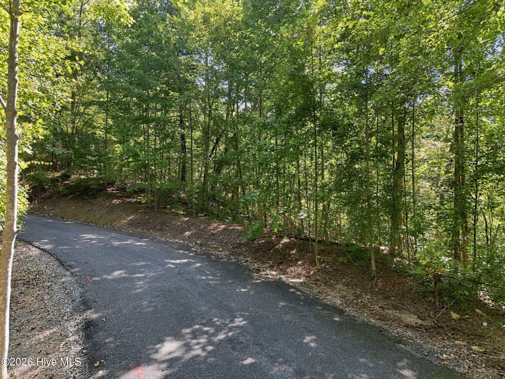0 Nathan Mcdaniel Drive Property Photo 2
