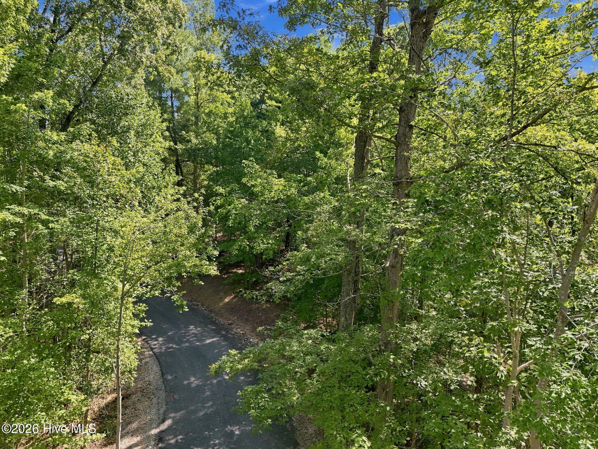 0 Nathan Mcdaniel Drive Property Photo 14