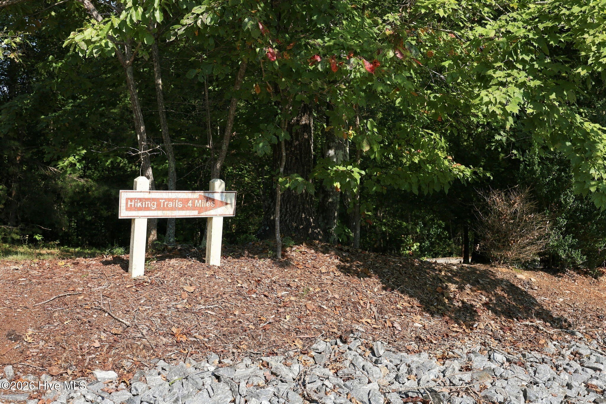 0 Nathan Mcdaniel Drive Property Photo 19