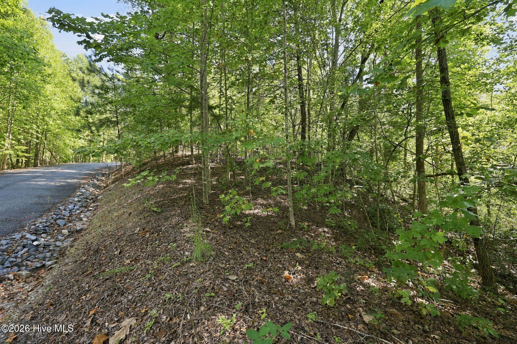 0 Nathan Mcdaniel Drive Property Photo 21