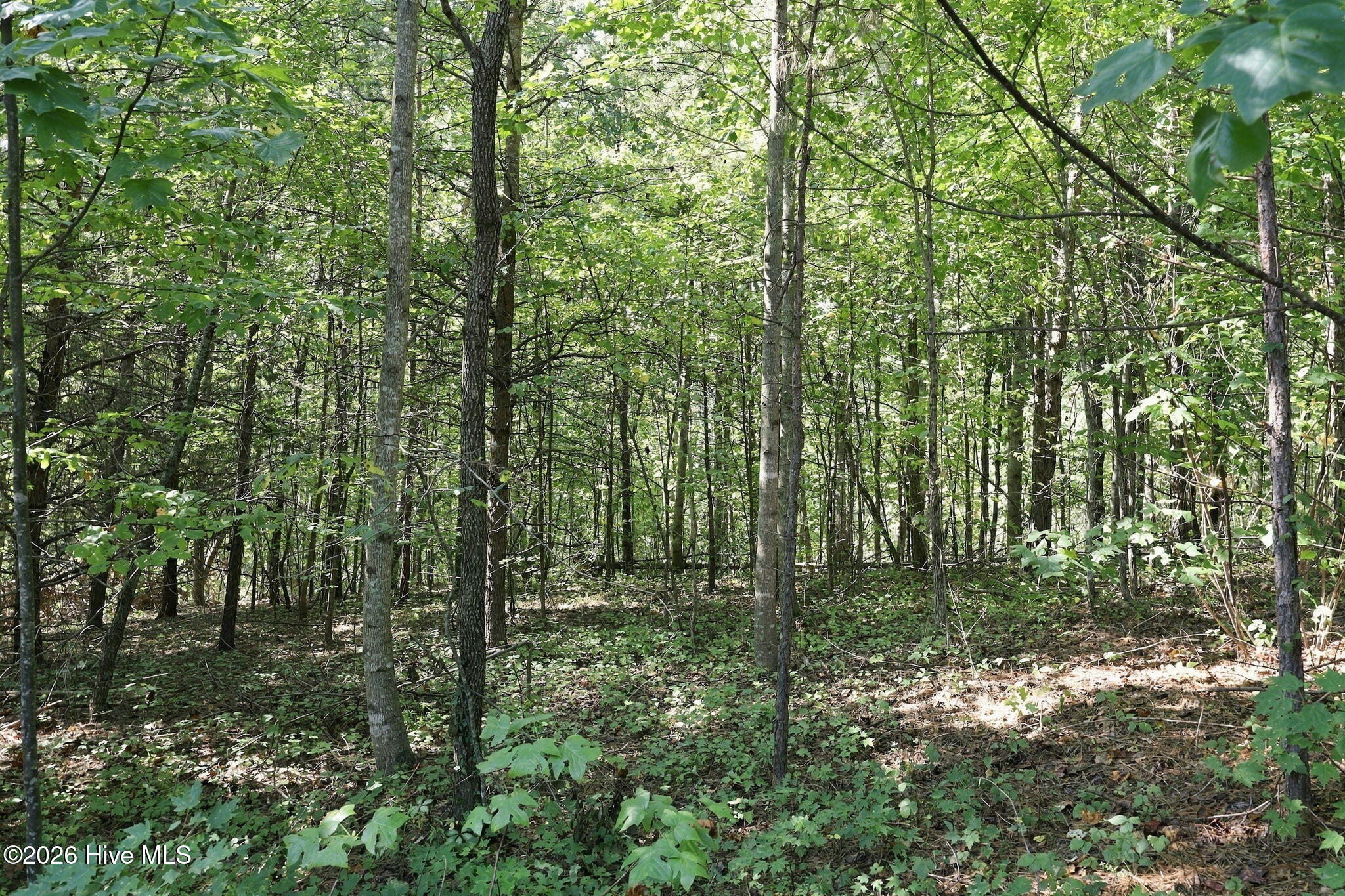 0 Nathan Mcdaniel Drive Property Photo 22