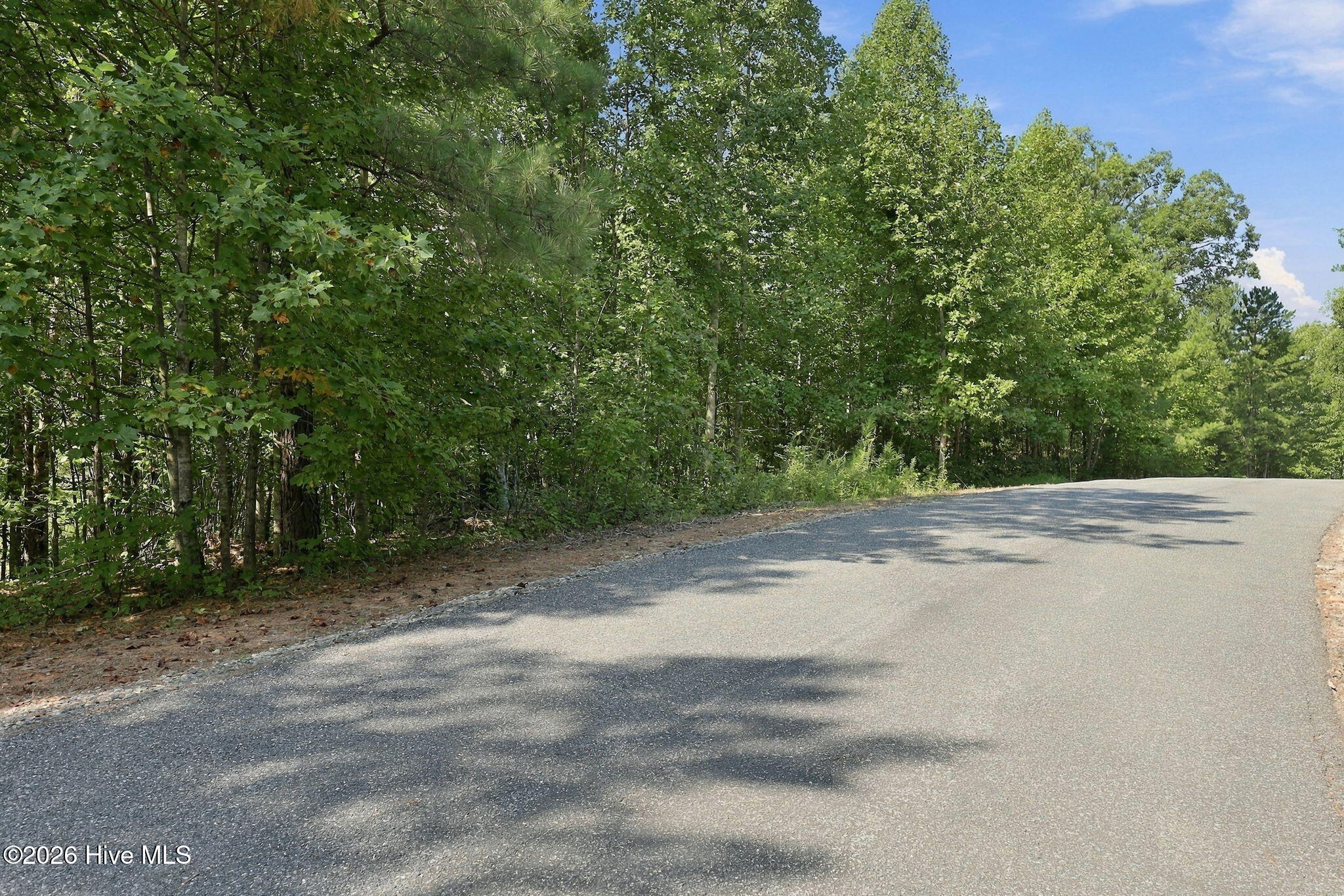 0 Nathan Mcdaniel Drive Property Photo 23