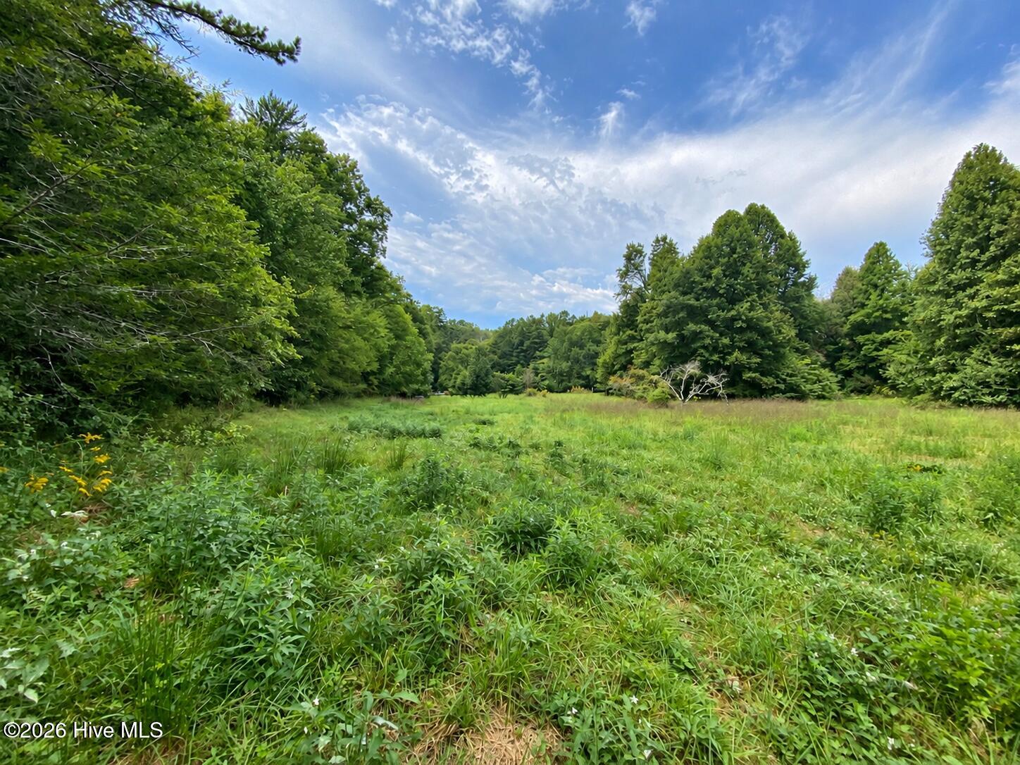 100 Eva Mae Lane Property Photo 1
