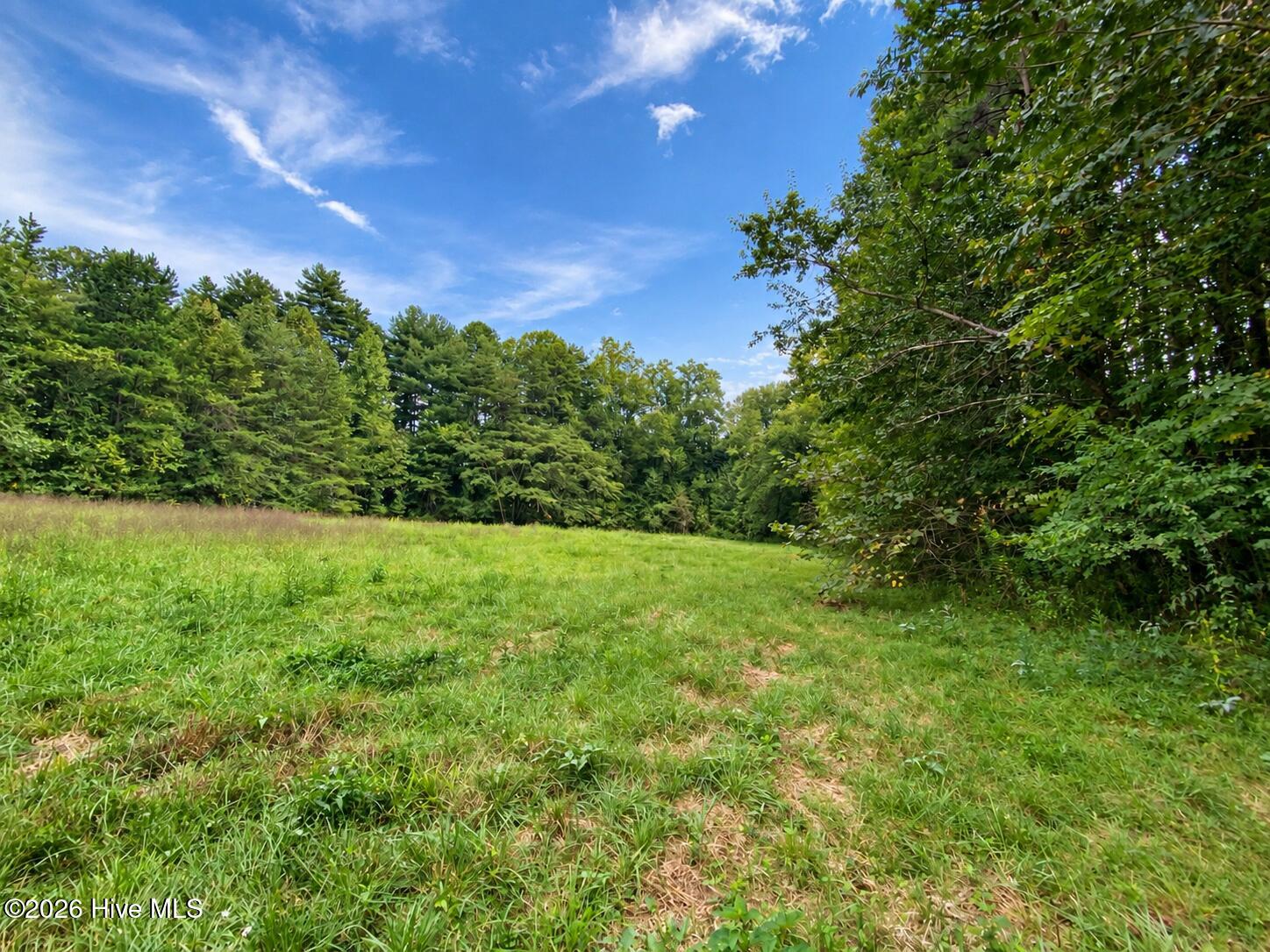 100 Eva Mae Lane Property Photo 2
