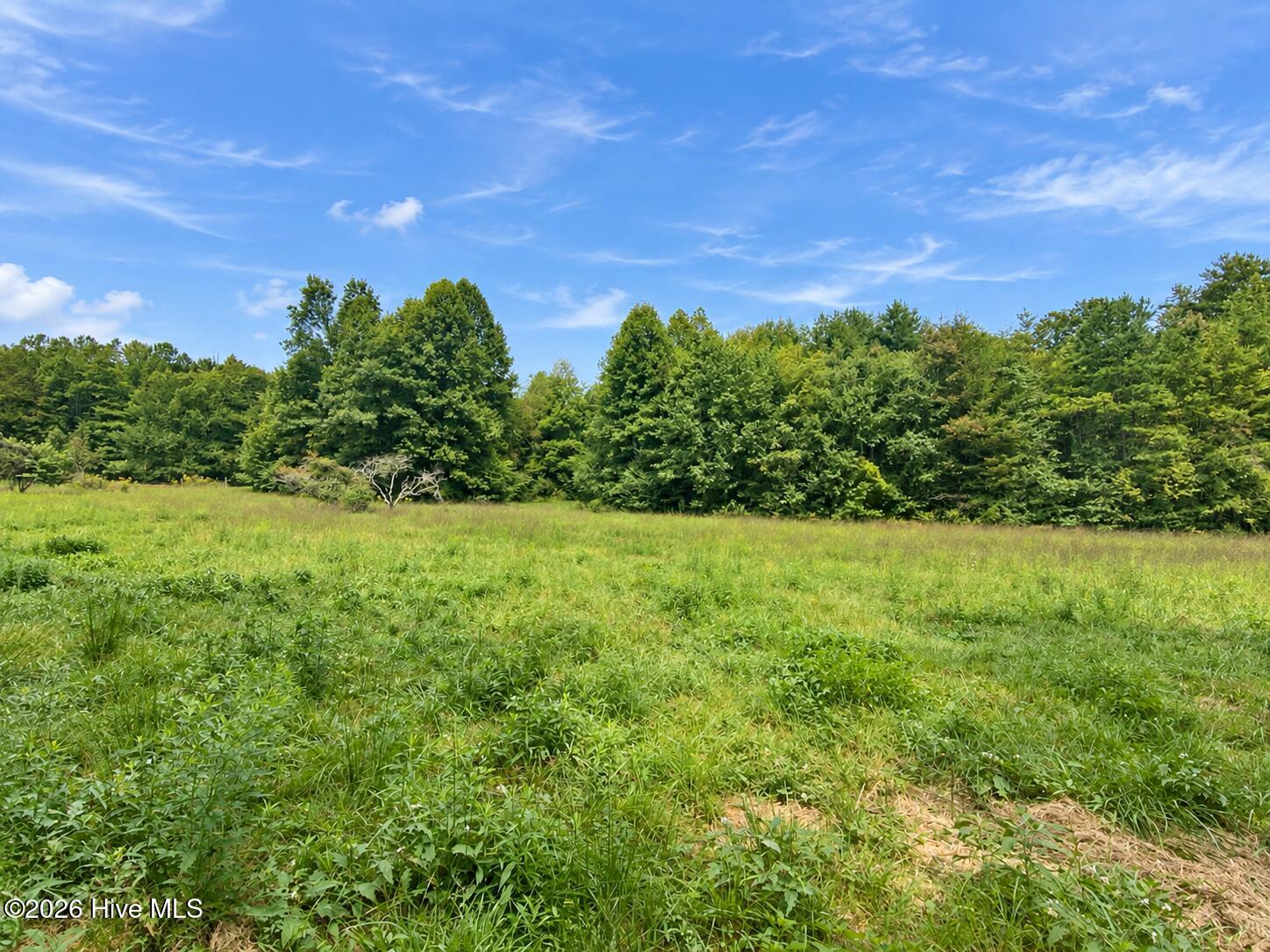 100 Eva Mae Lane Property Photo 3
