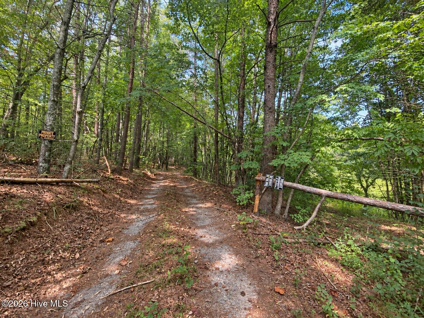 100 Eva Mae Lane Property Photo 6