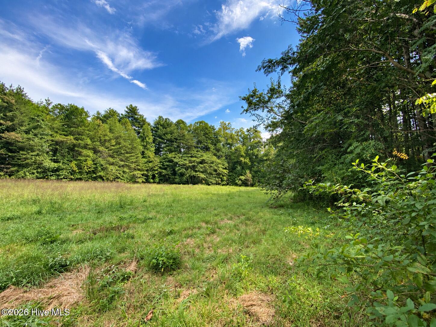 100 Eva Mae Lane Property Photo 7