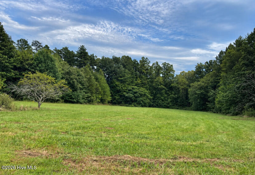 100 Eva Mae Lane Property Photo 8