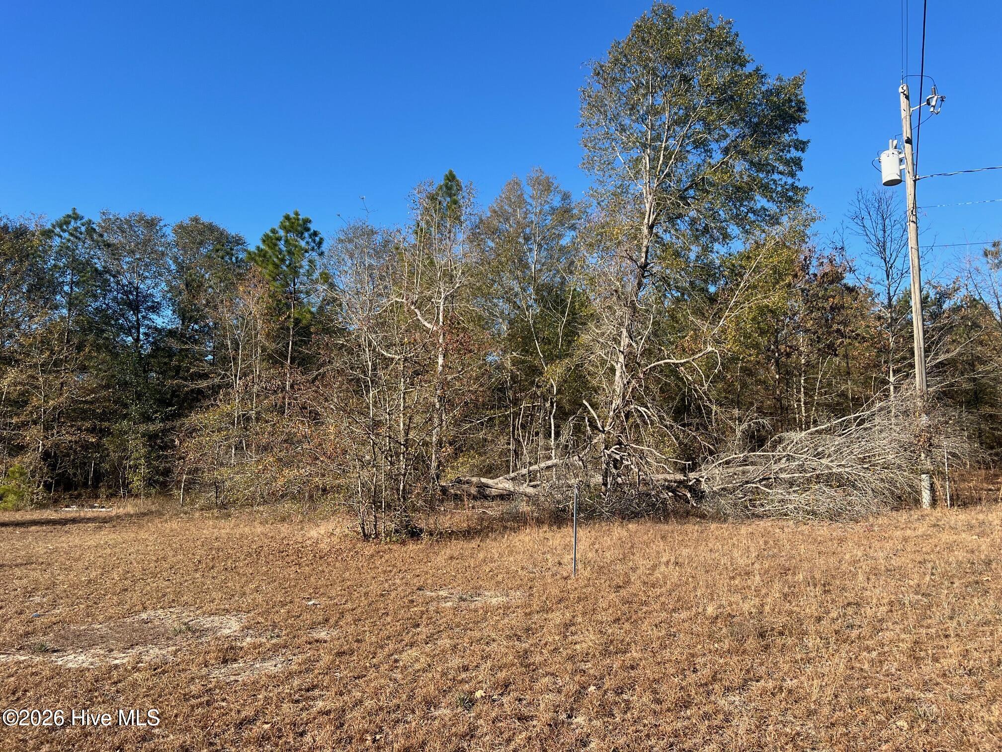 0 Golden Eagle Lane Property Photo 1